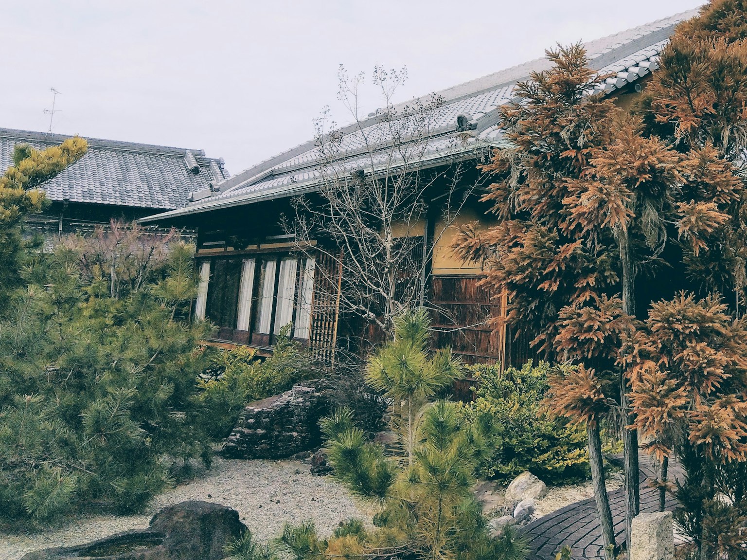 Maison japonaise traditionnelle entourée d'arbres de jardin