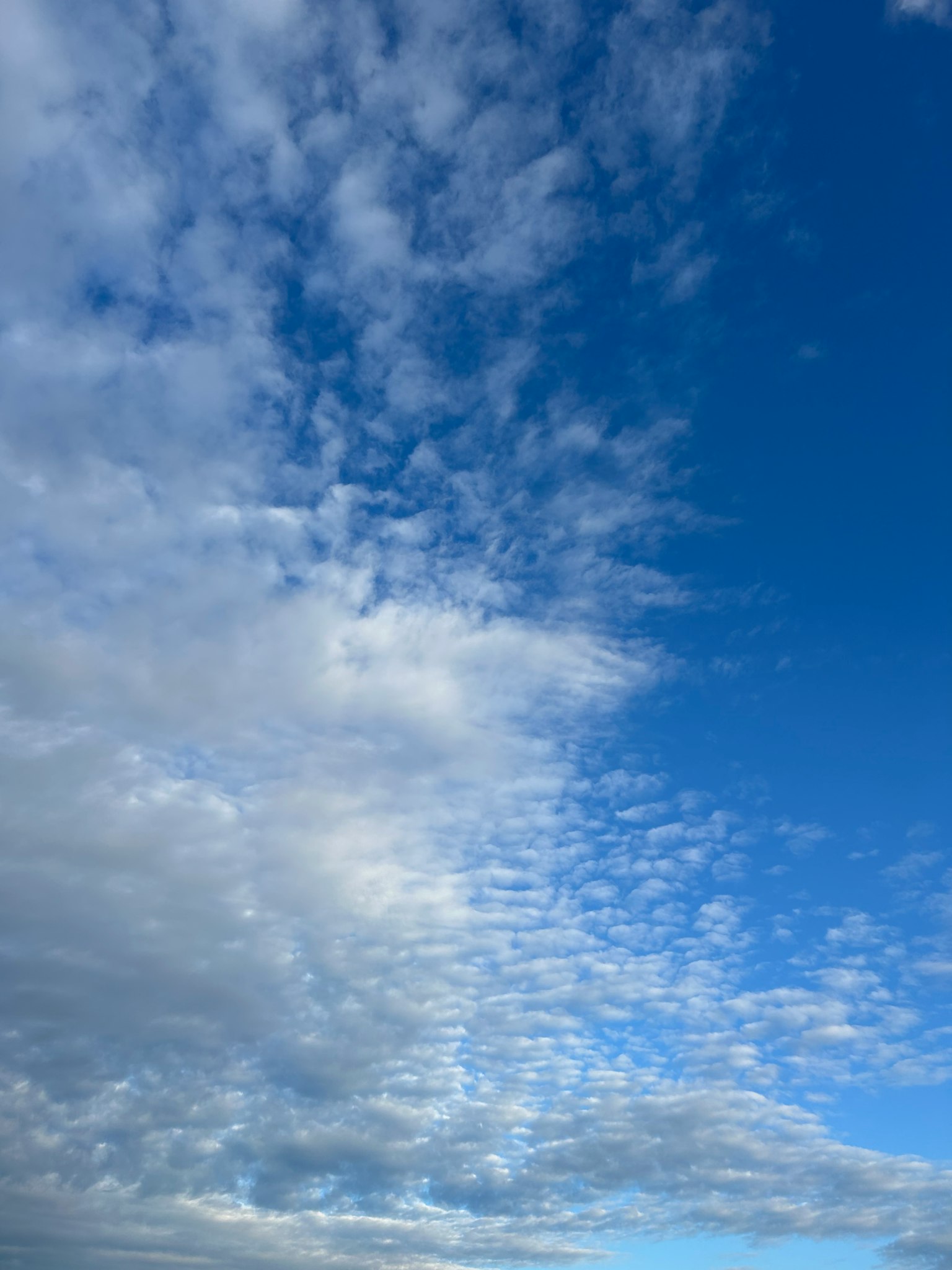 Paysage magnifique avec ciel bleu et nuages