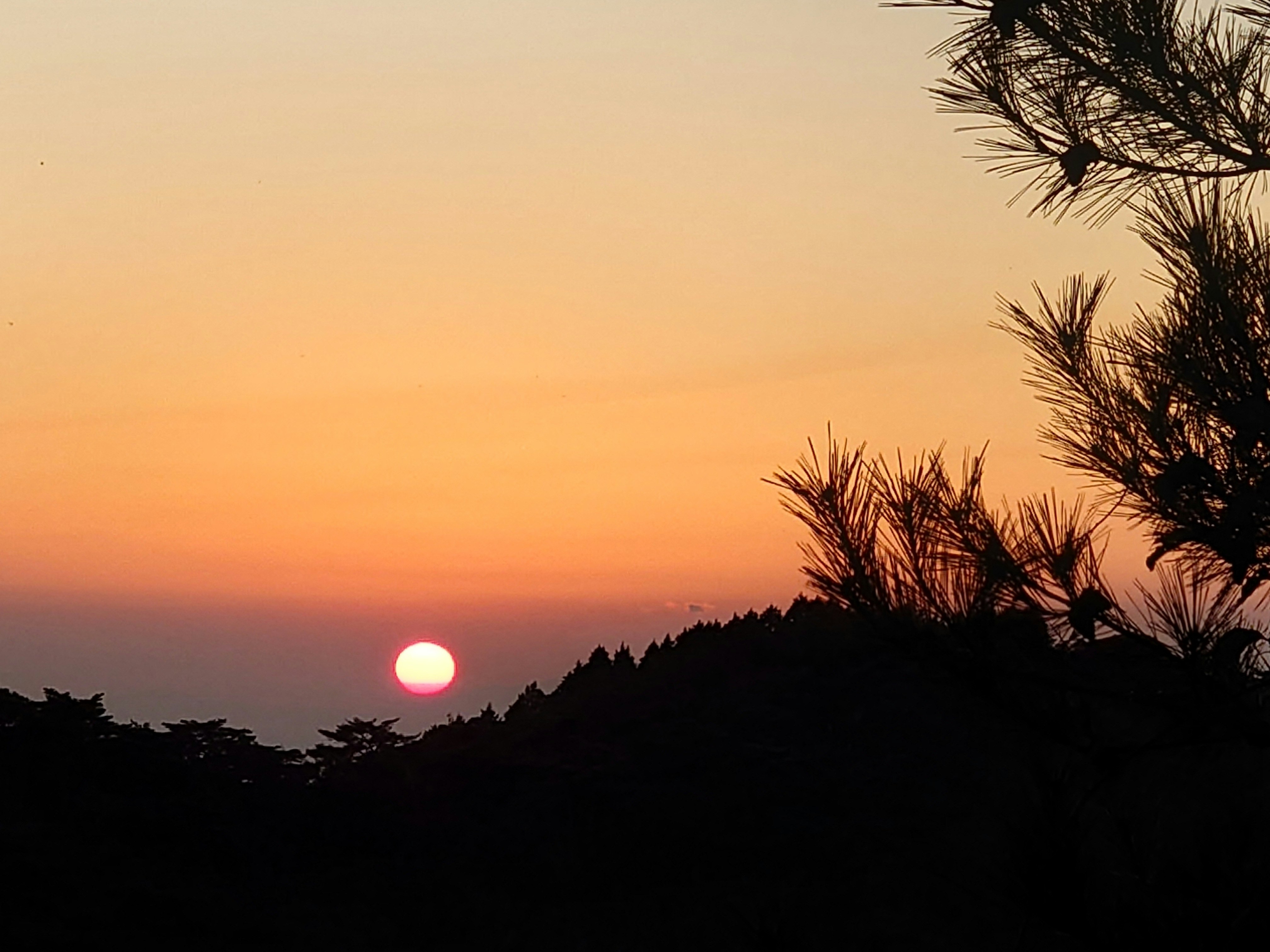 夕焼けの太陽と森のシルエットの空景