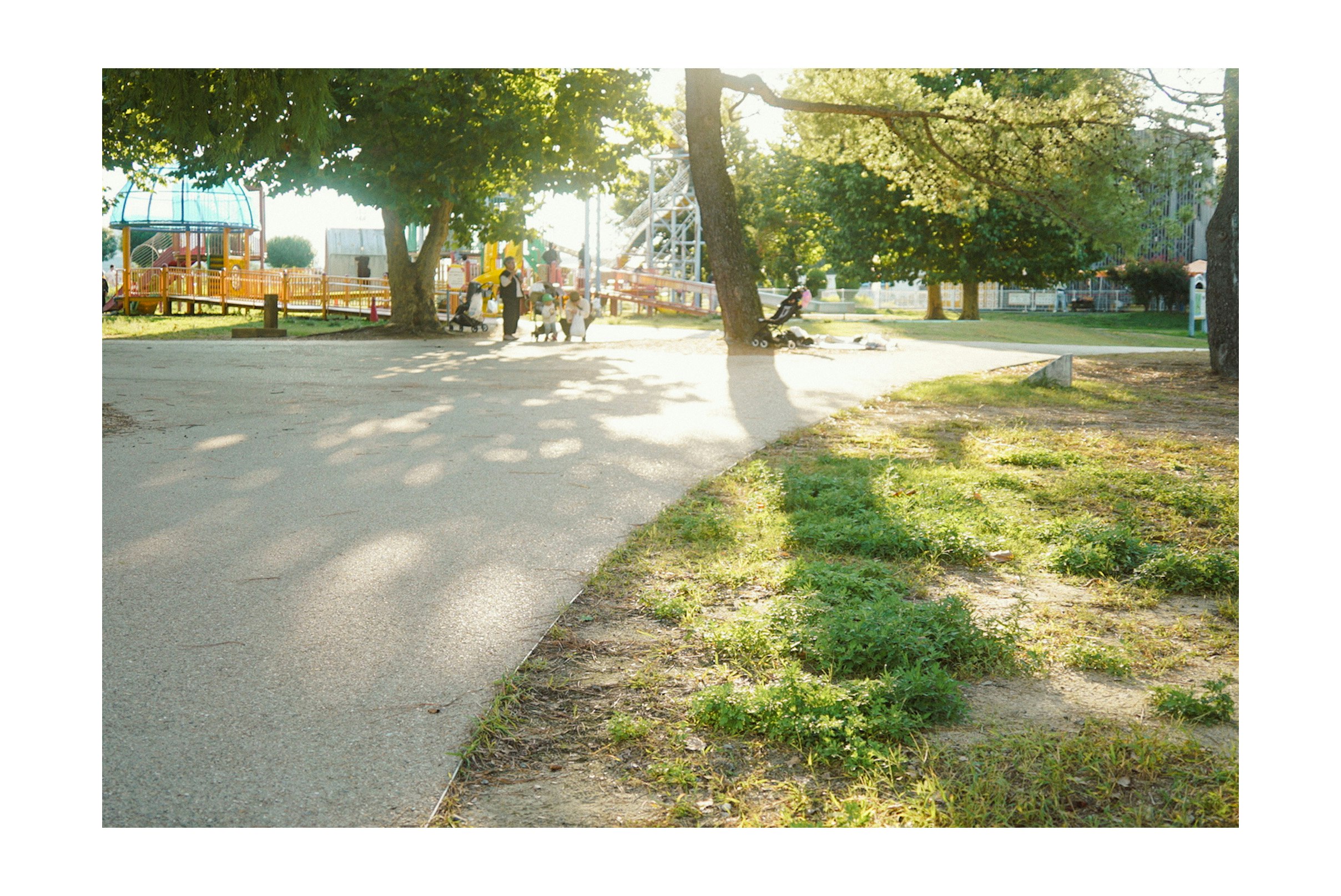 木陰の並木と遊歩道のある公園の散歩道