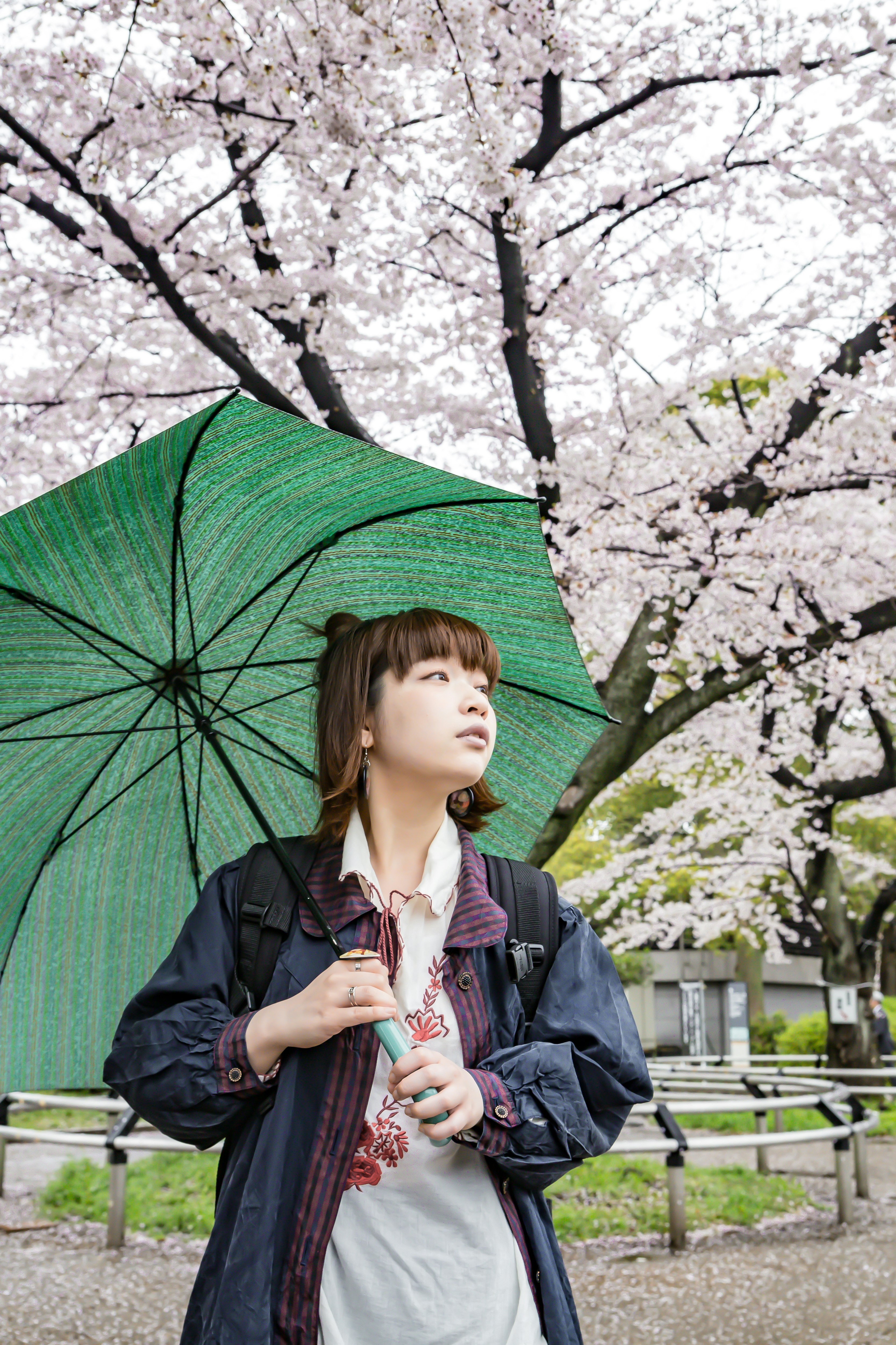 Una donna con un ombrello verde sotto un albero di ciliegio in fiore