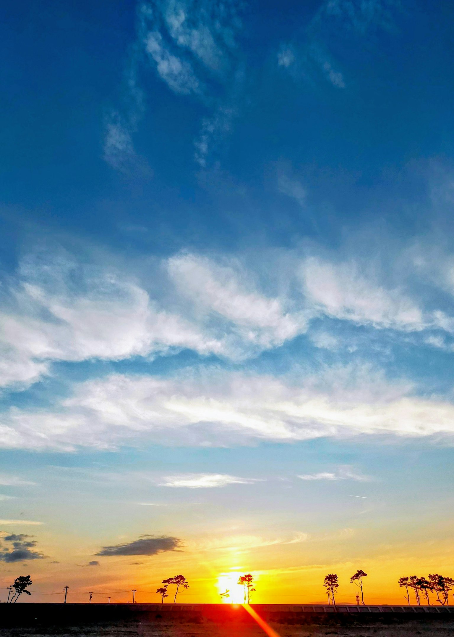 Pemandangan matahari terbenam yang indah dengan langit biru dan awan pohon siluet di latar depan