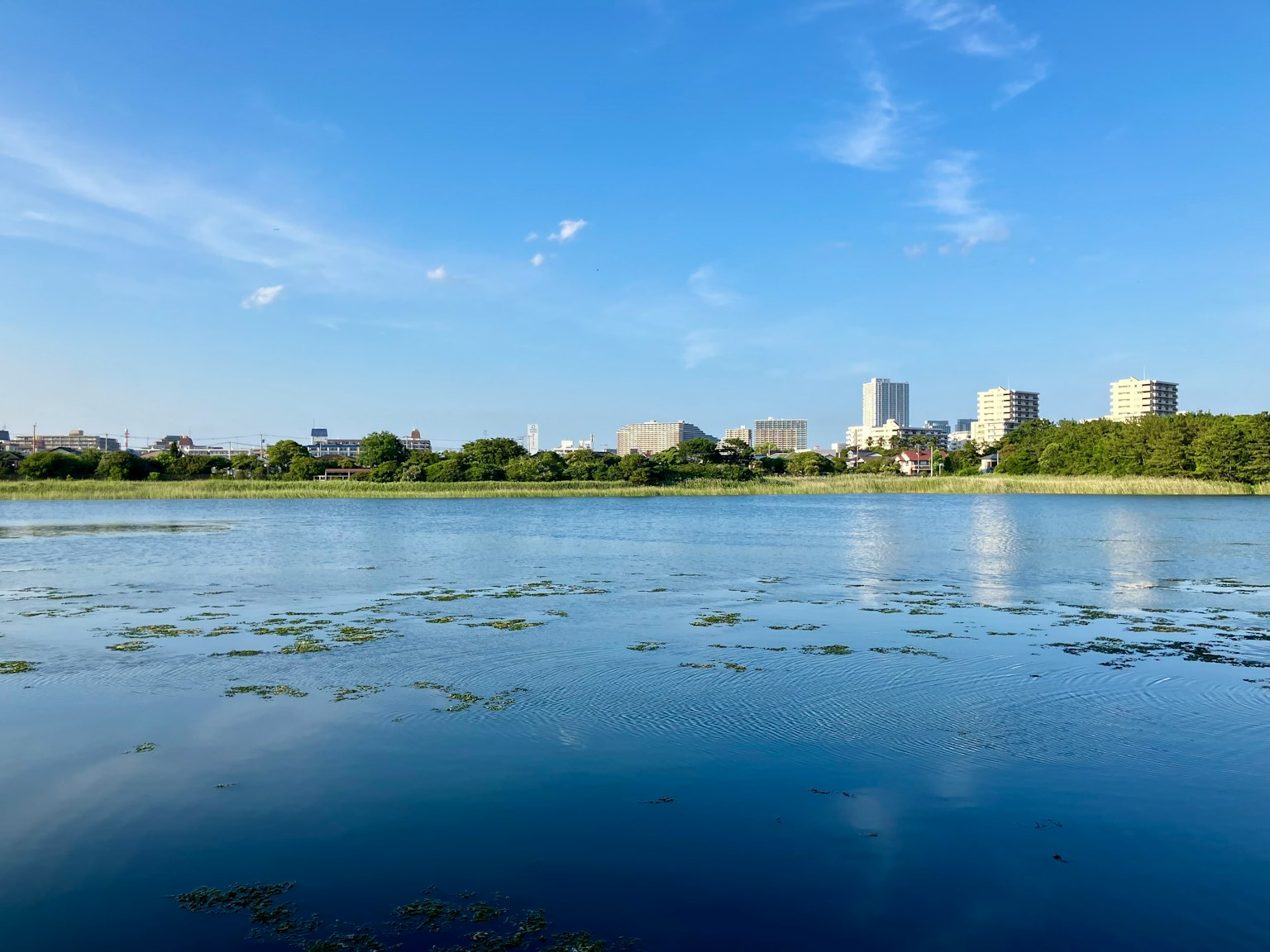 湖泊的风景蓝天和建筑物的倒影以及可见的绿地
