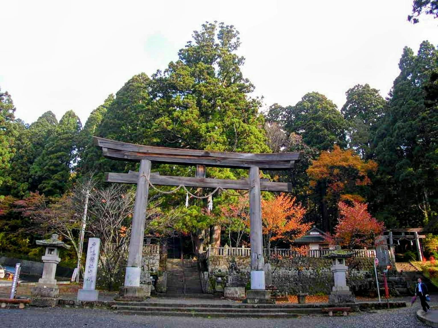 ทิวทัศน์ที่สวยงามของเสาโทริอิขนาดใหญ่ที่ล้อมรอบด้วยต้นไม้เขียวขจี