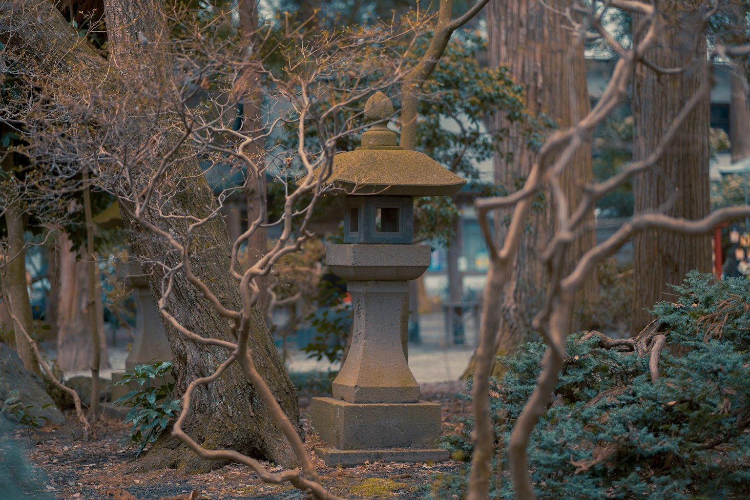 宁静的花园场景，特色为石灯笼