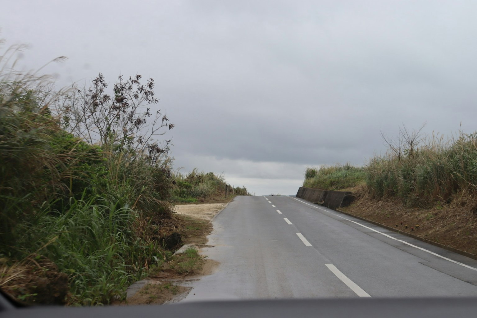 Carretera pavimentada rodeada de hierba y arbustos bajo un cielo nublado