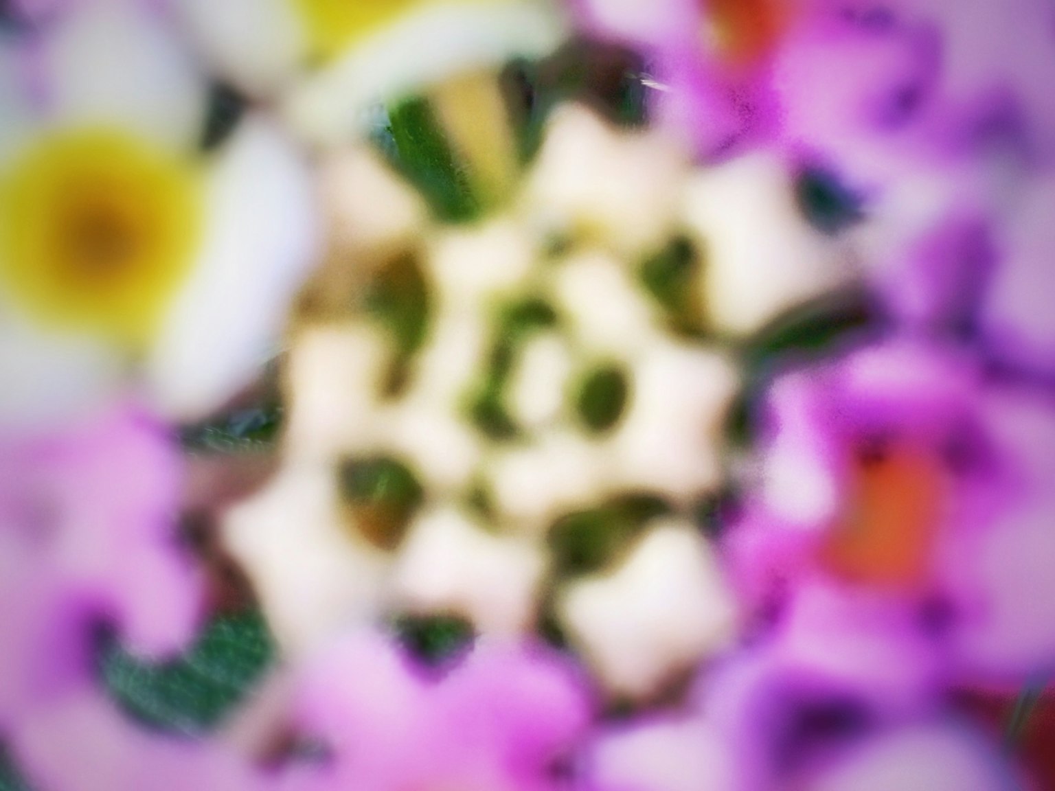 Cận cảnh mờ của hoa nhiều màu sắc với cánh hoa và họa tiết trung tâm