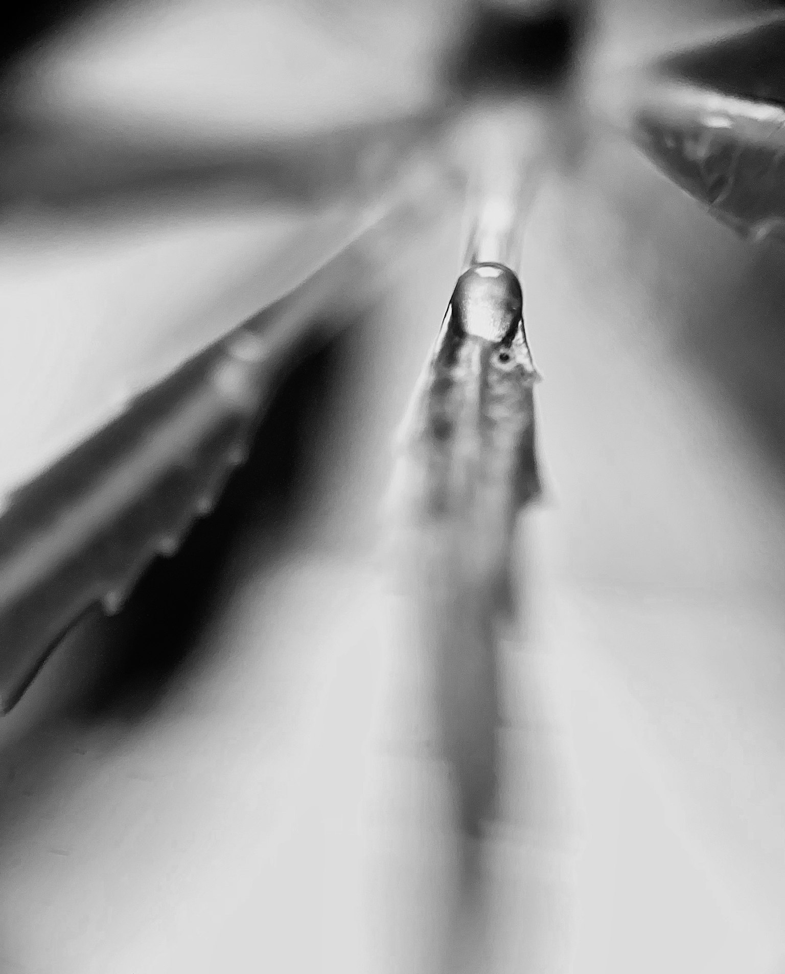 Close-up black and white image featuring a water droplet
