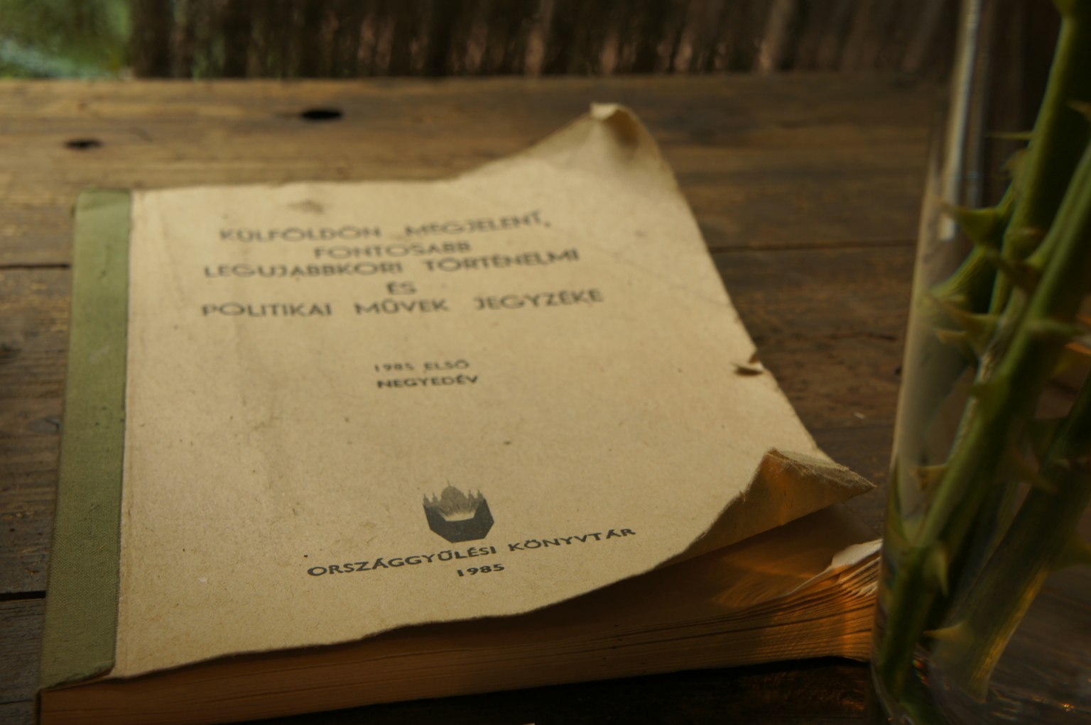 Un vecchio libro appoggiato su un tavolo di legno con una pagina leggermente girata