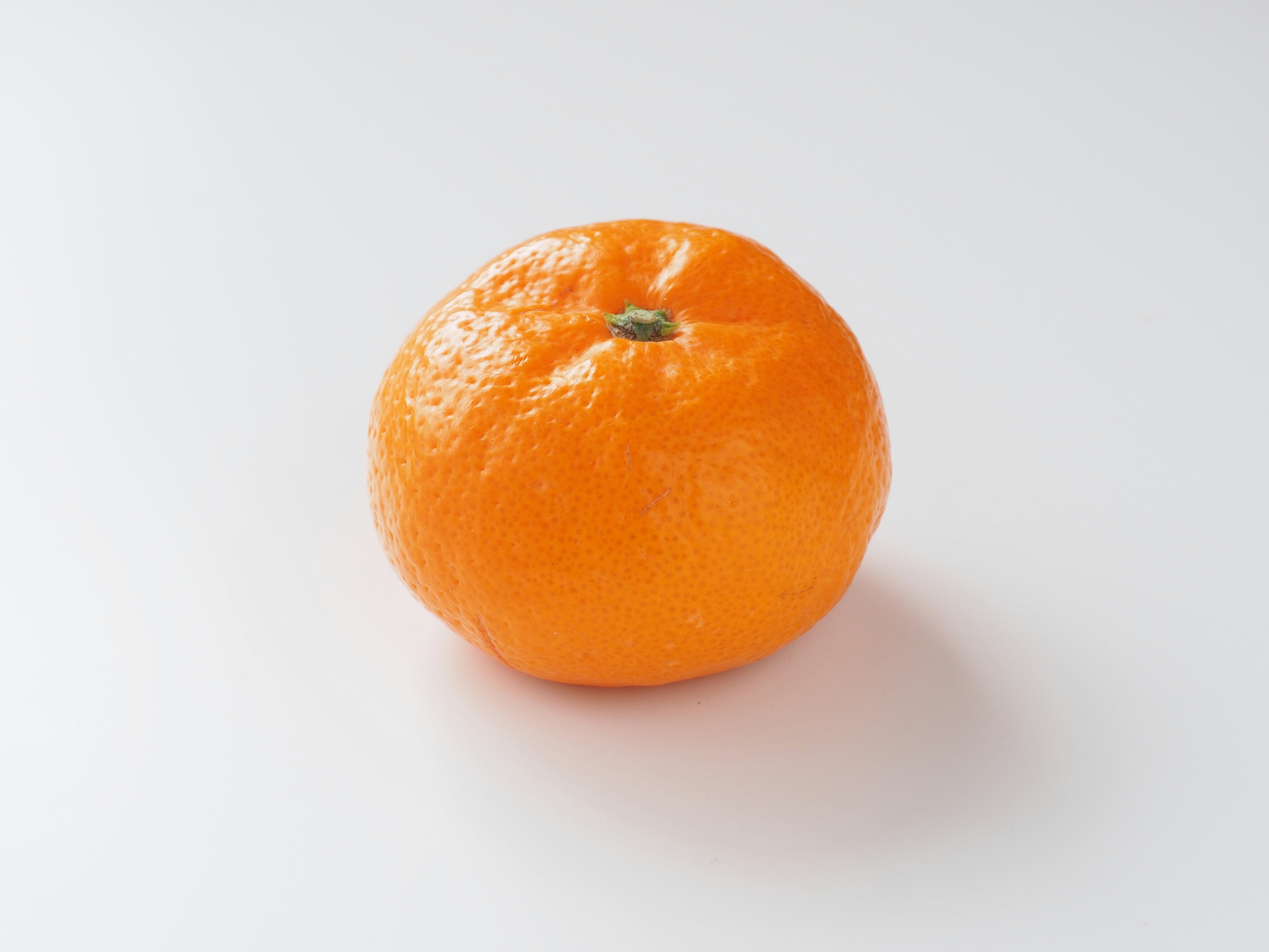 one orange on a white background
