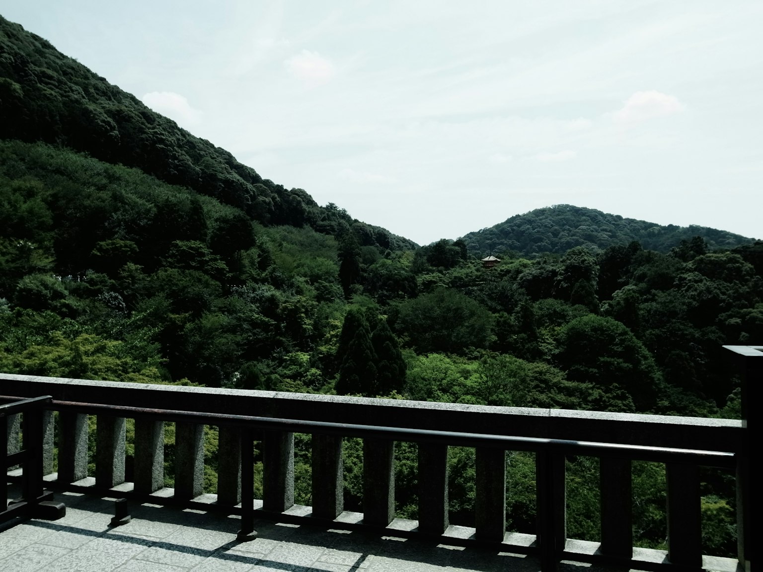 陽台上俯瞰郁郁蔥蔥的綠色山脈的景色