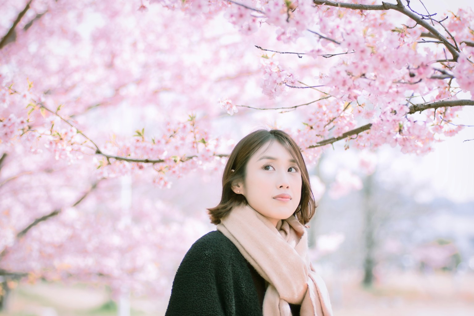 樱花树下的女性肖像