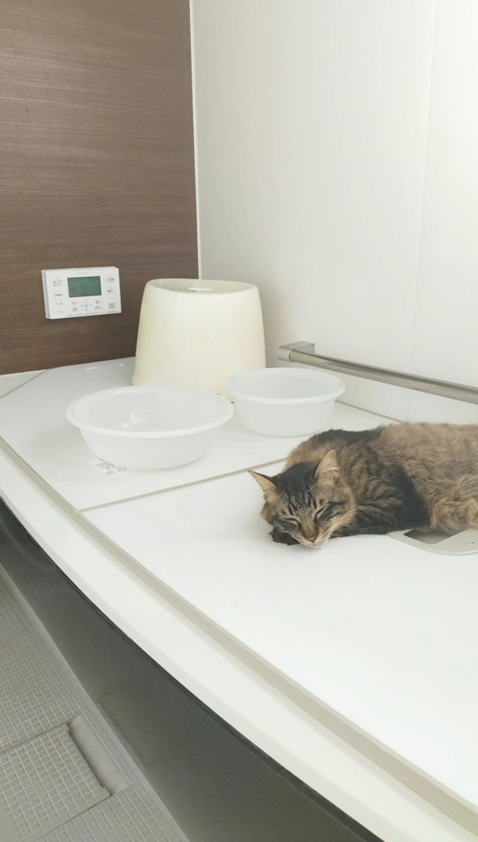 A cat lying on a clean countertop with bowls nearby