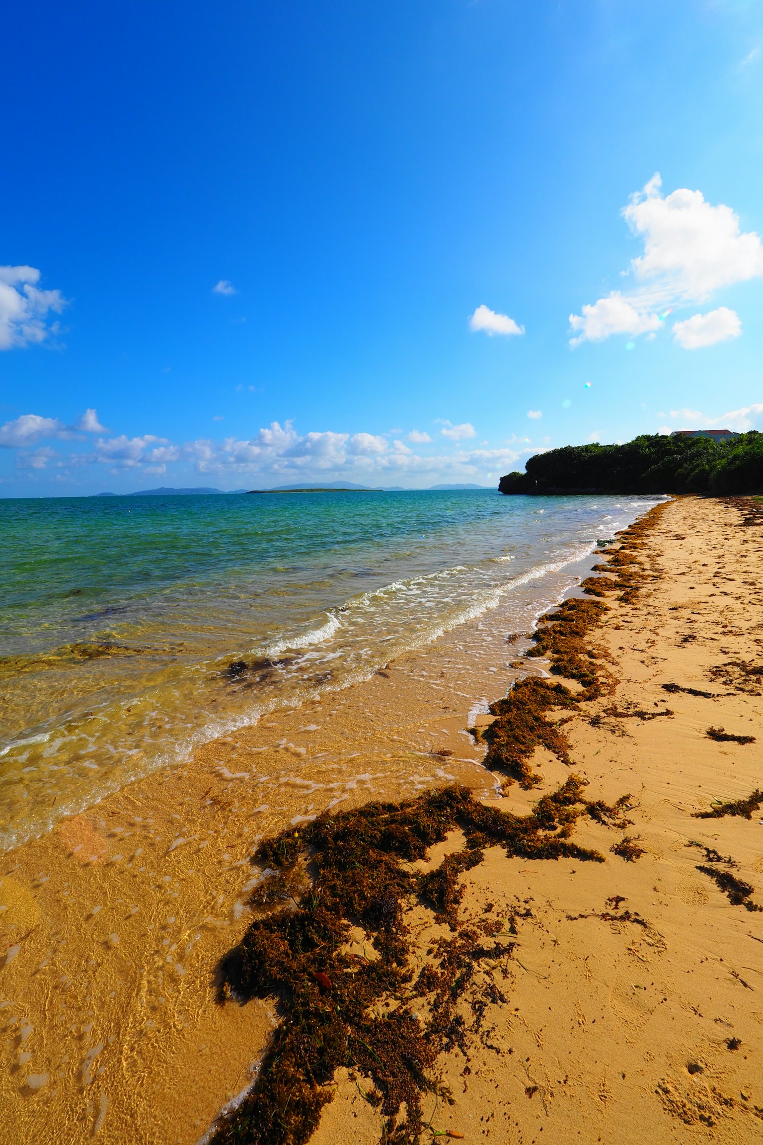 ทิวทัศน์ชายหาดท้องฟ้าสีฟ้าและทะเลสงบสาหร่ายกระจายอยู่บนชายหาด