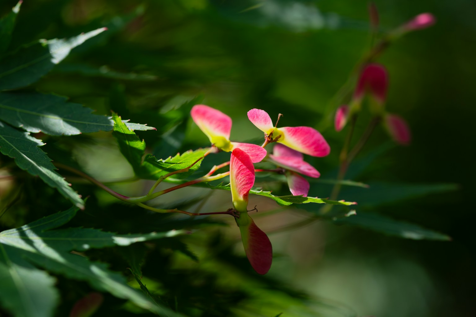 photo-9Ck7nfnXdfaoZE1liuWl-image