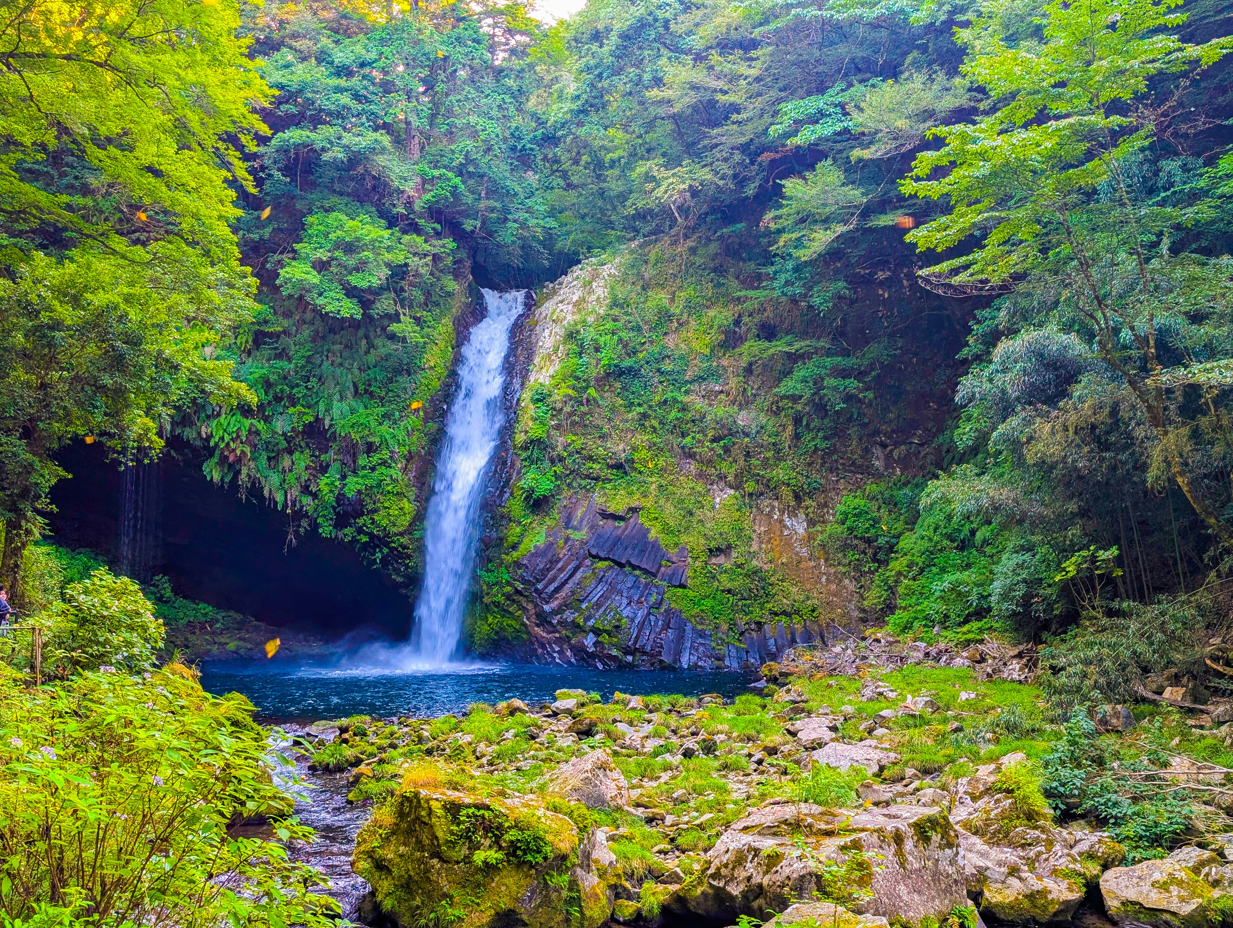 緑の渓谷に流れる滝と川の流れの風景