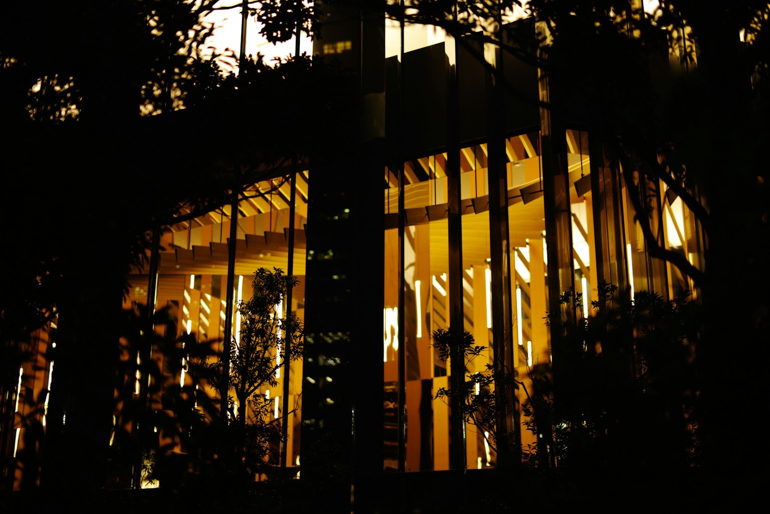 夜间被树木环绕的现代建筑内部亮起灯光