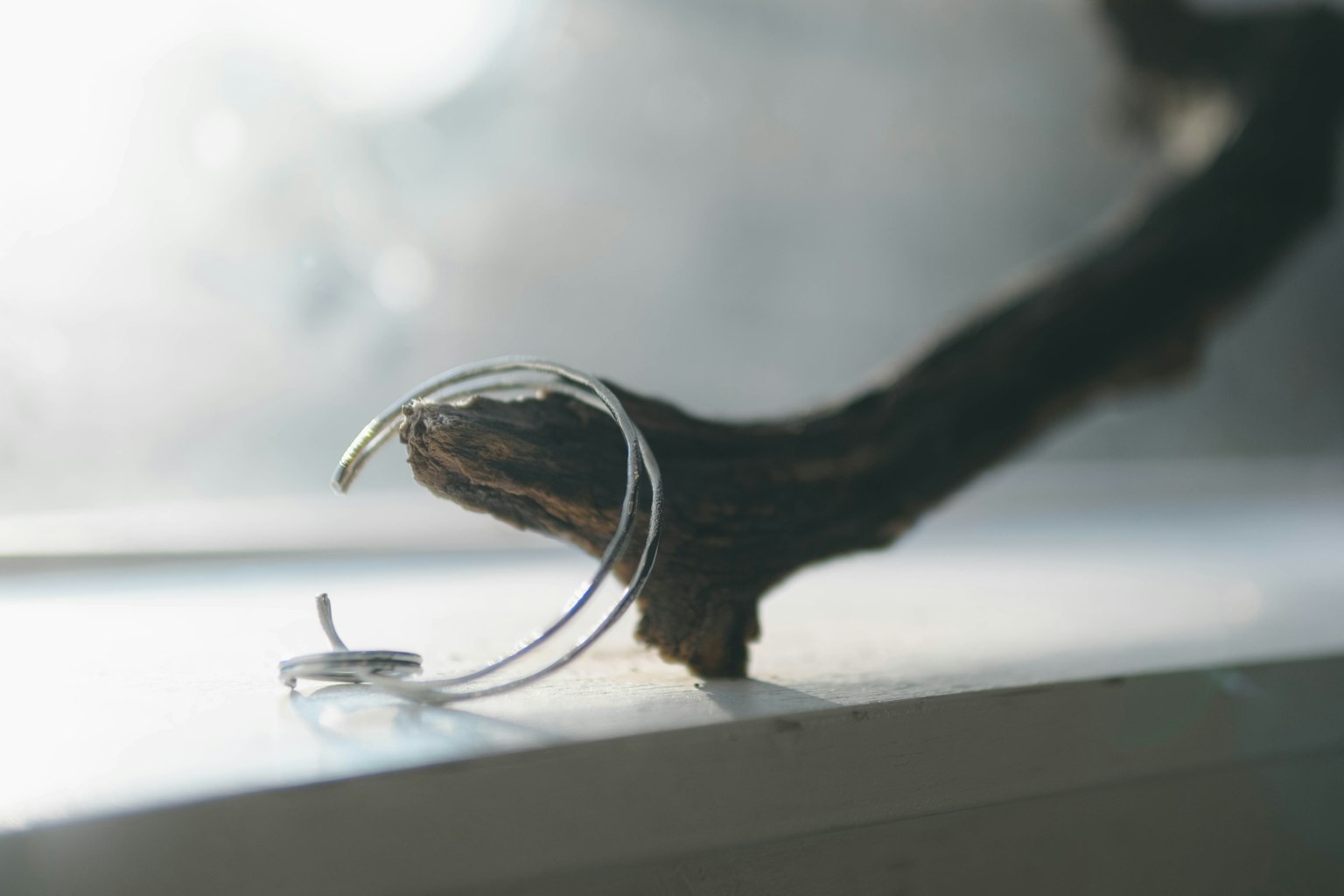 A silver ring and small earring placed on a wooden branch