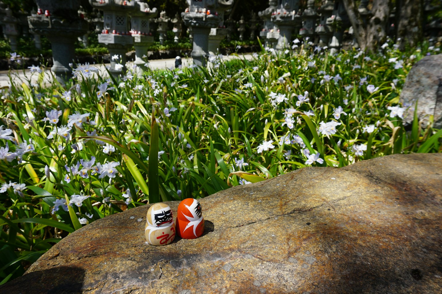 Dos latas sobre una piedra en un parque exuberante con flores en flor