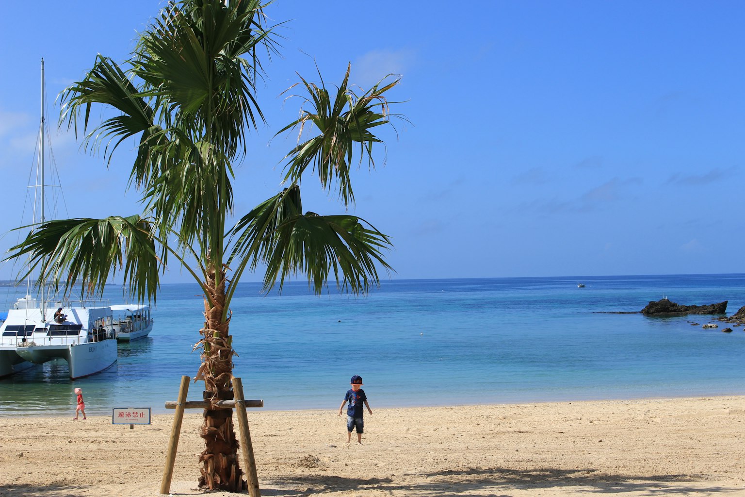 Pemandangan pantai dengan pohon palem dan anak berjalan di pasir