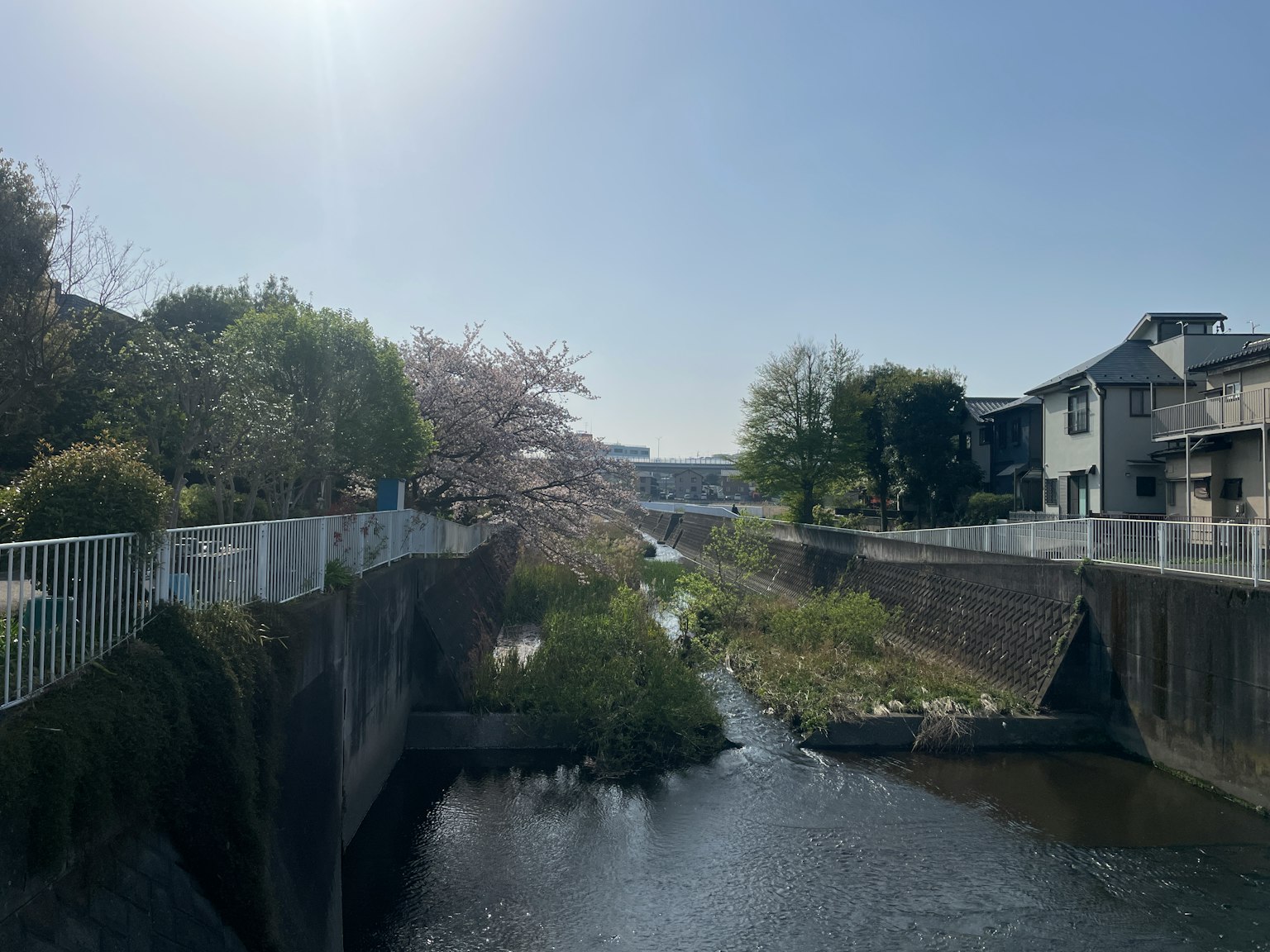 Pemandangan musim semi dengan bunga sakura di sepanjang sungai dan bangunan di sekitarnya