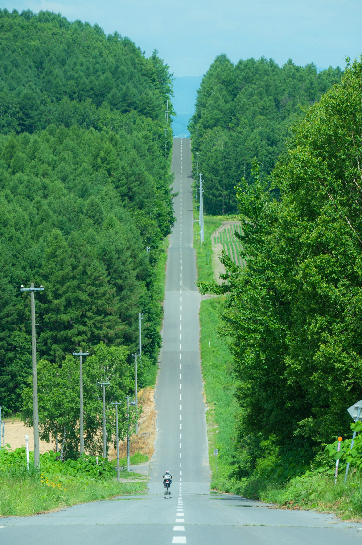 Long straight road surrounded by green trees and distant mountains