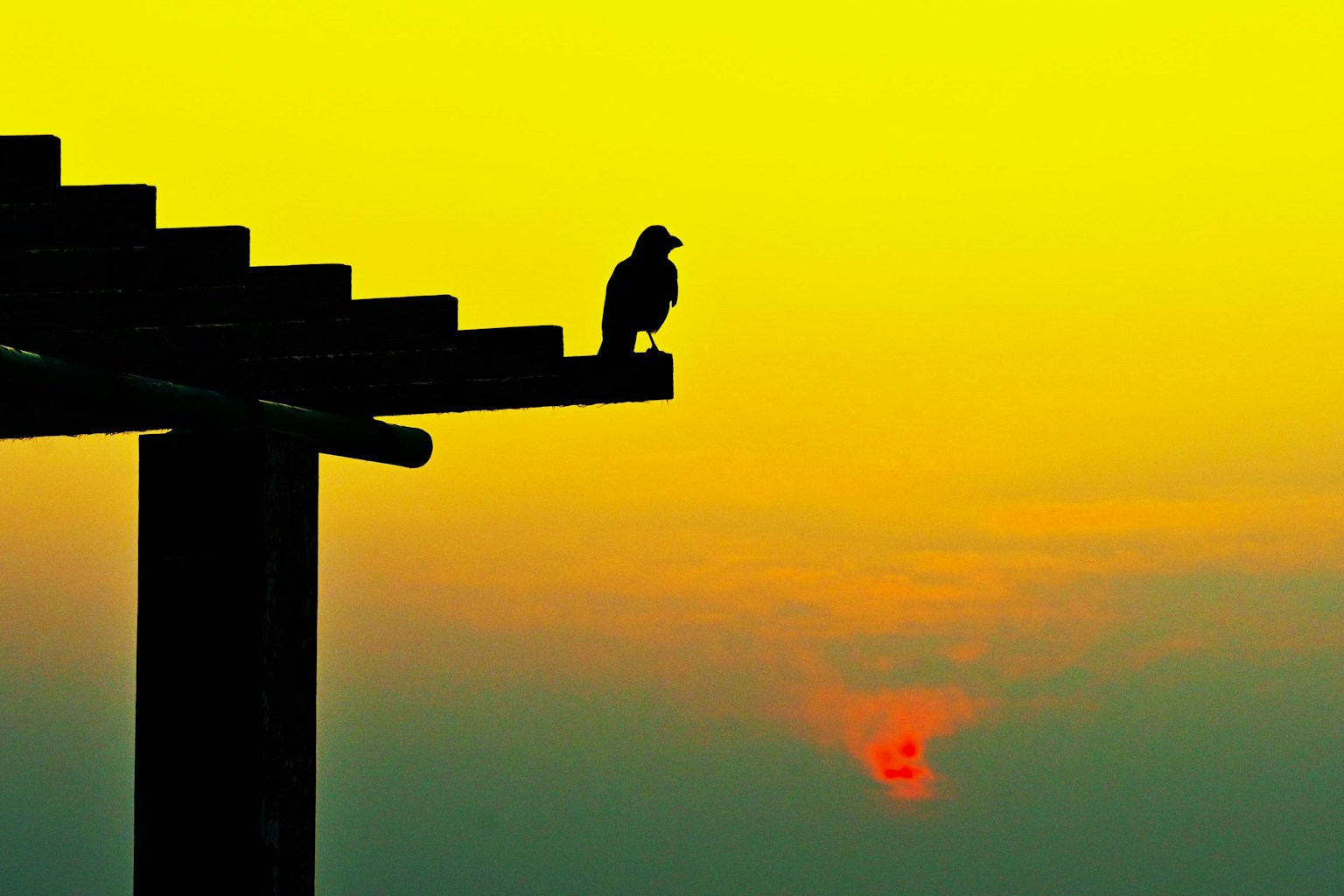 在結構上棲息的鳥的輪廓與生動的日落天空
