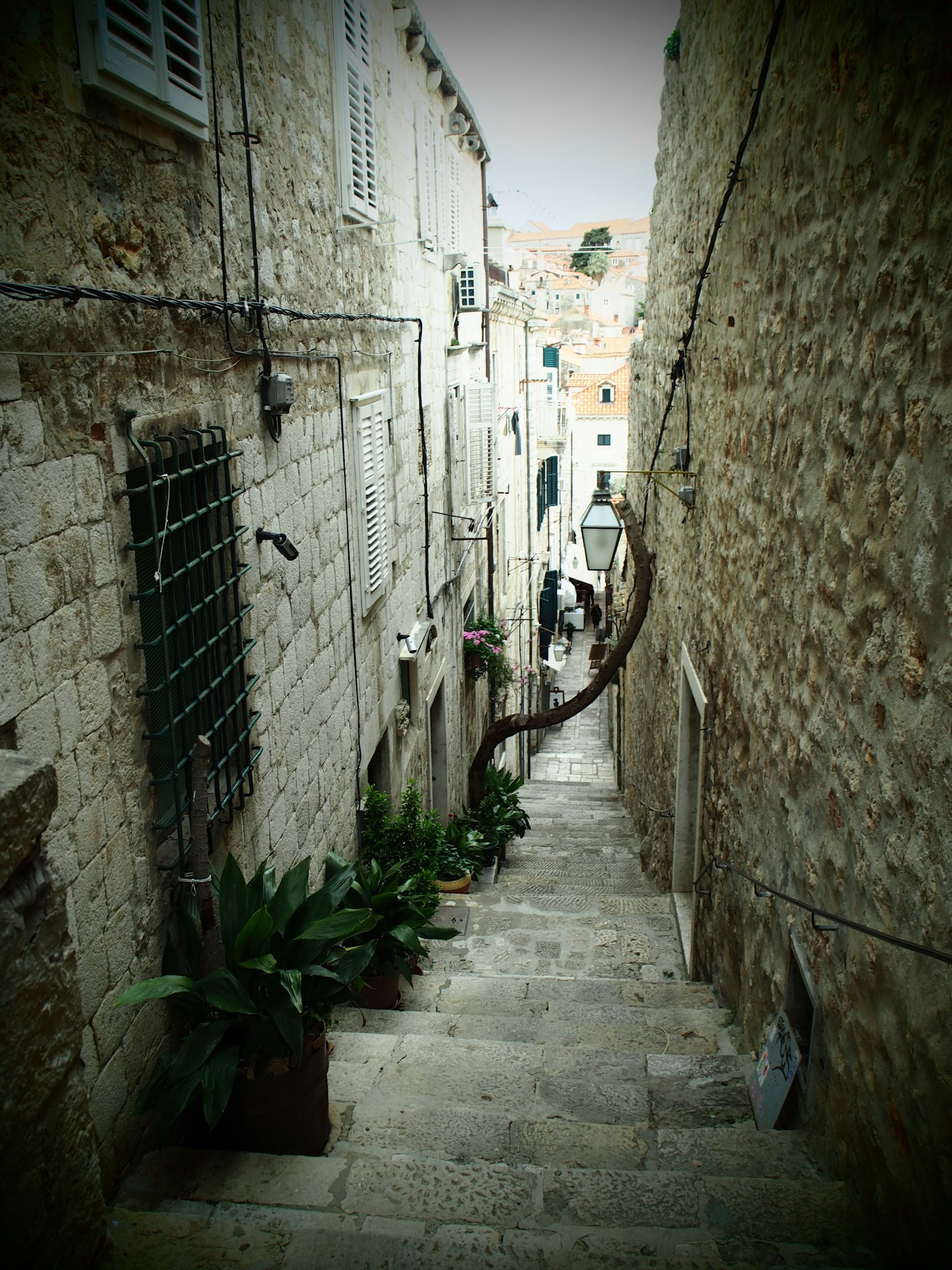 Callejón estrecho de piedra con plantas a lo largo de los escalones