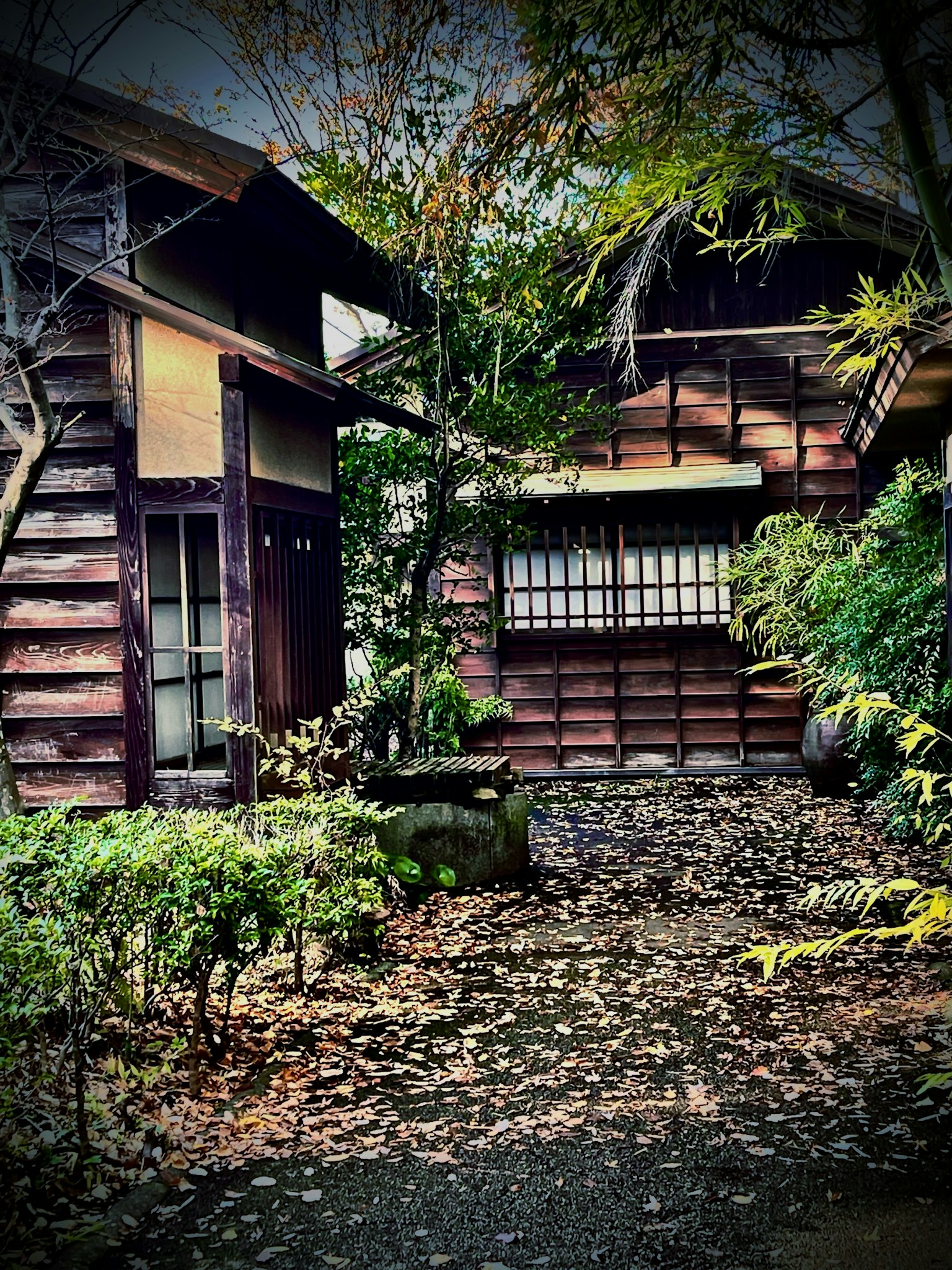 傳統日本房屋與木結構，周圍環繞著綠色植物和寧靜的花園