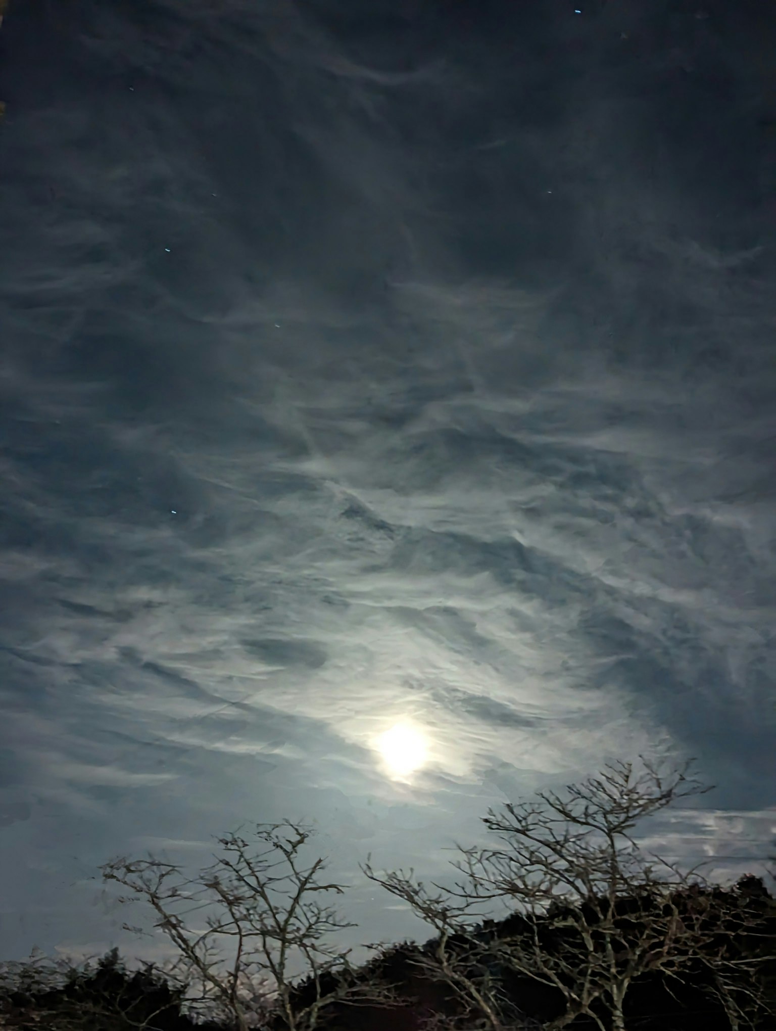 Cielo nocturno con nubes iluminadas por la luz de la luna y árboles en silueta