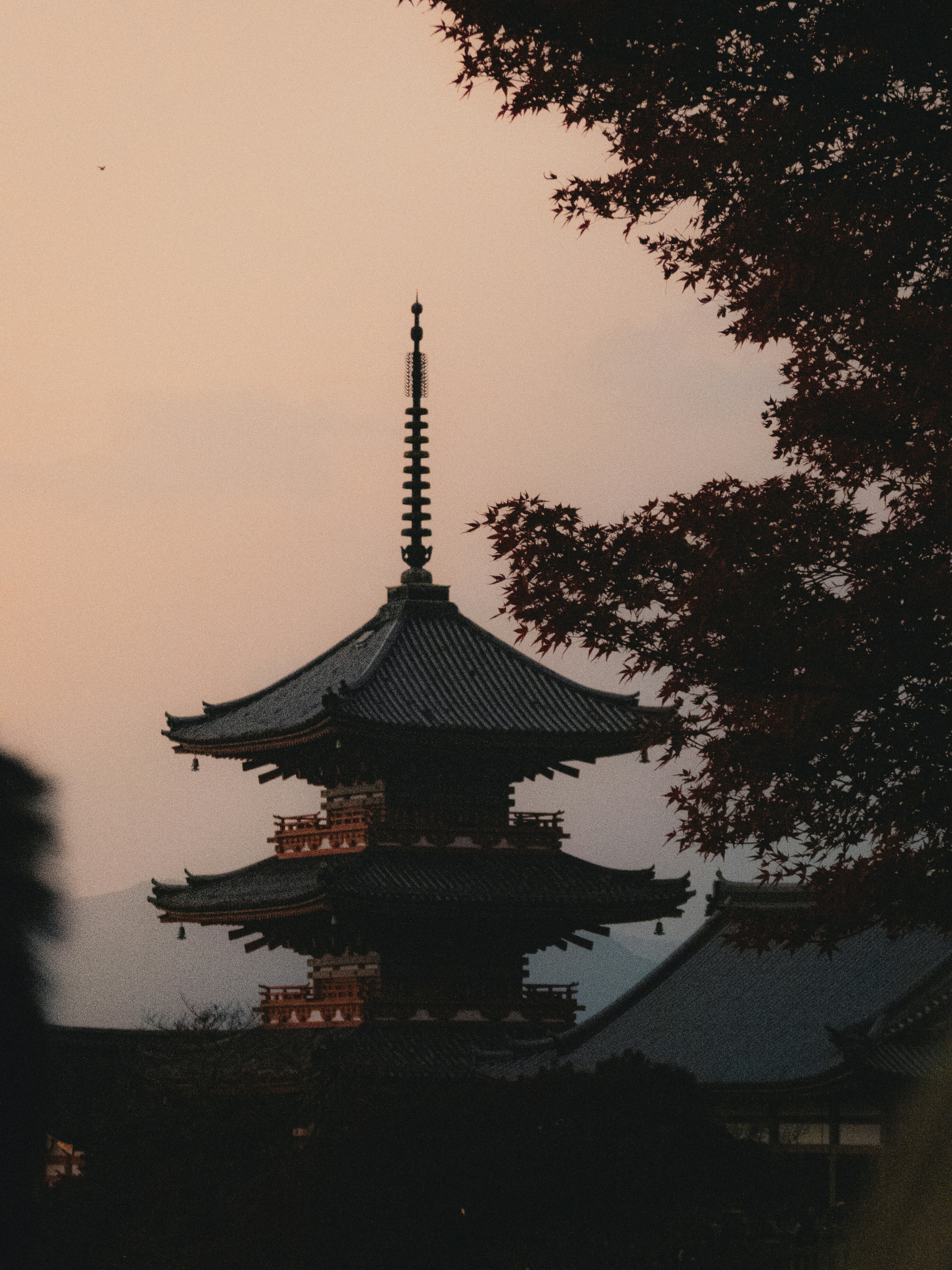 sagoma di una pagoda e alberi al crepuscolo