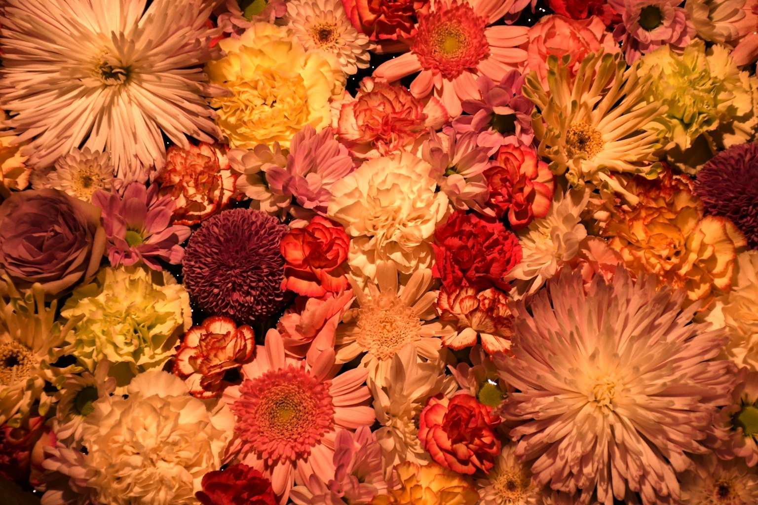 A beautiful arrangement of colorful flowers densely packed together