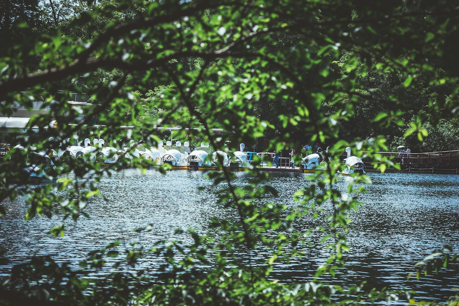 緑の葉に囲まれた静かな湖の風景 船が浮かんでいる