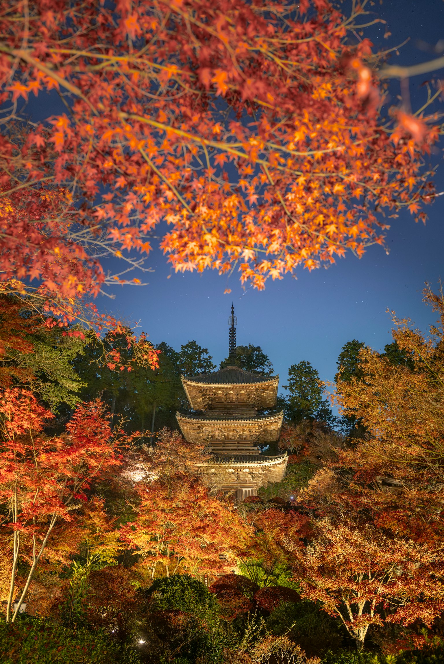 photo-9HKWUhhgZKSXPYlgRNEu-image