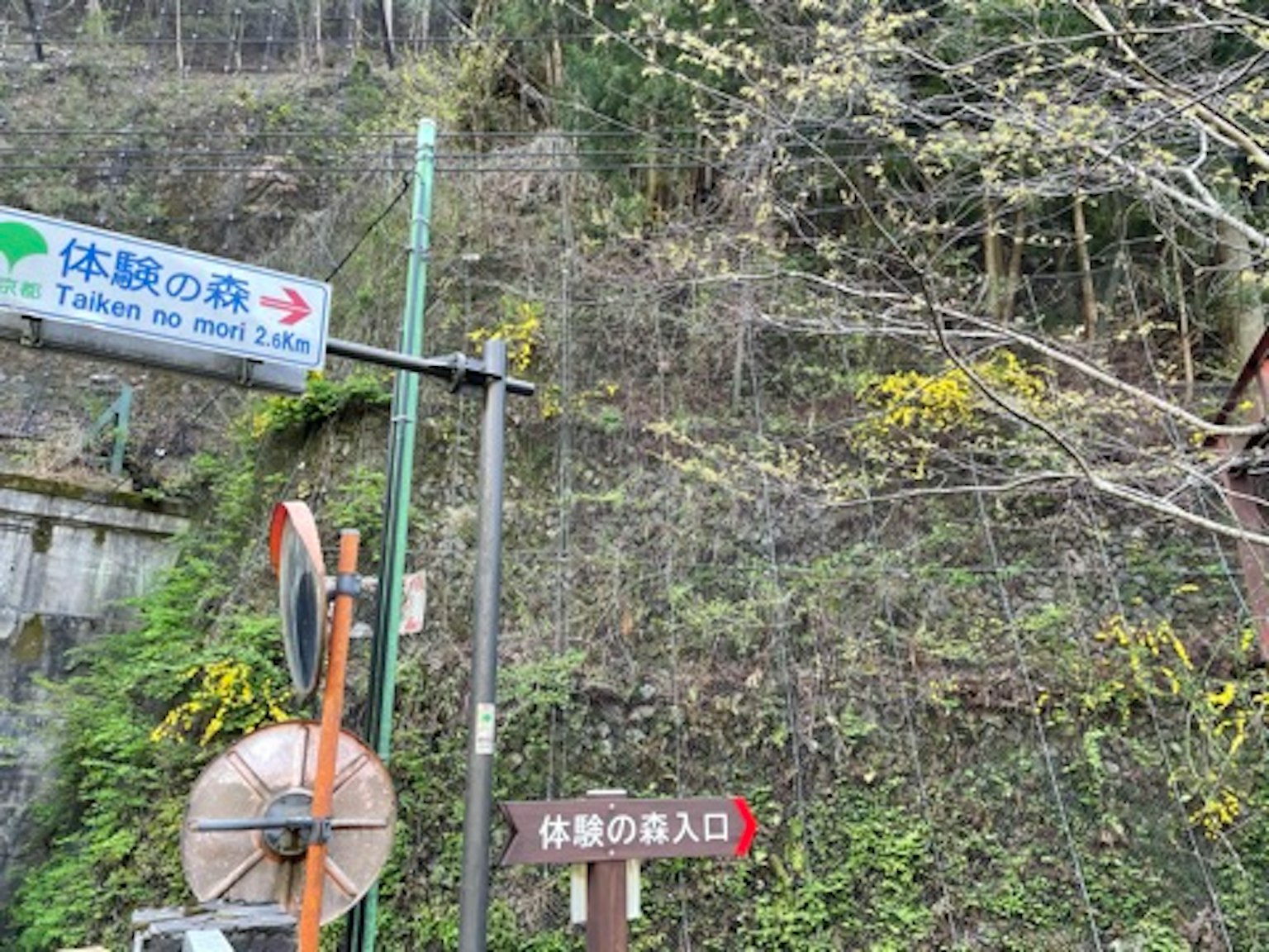 Vista escénica con señales direccionales en una ladera verde