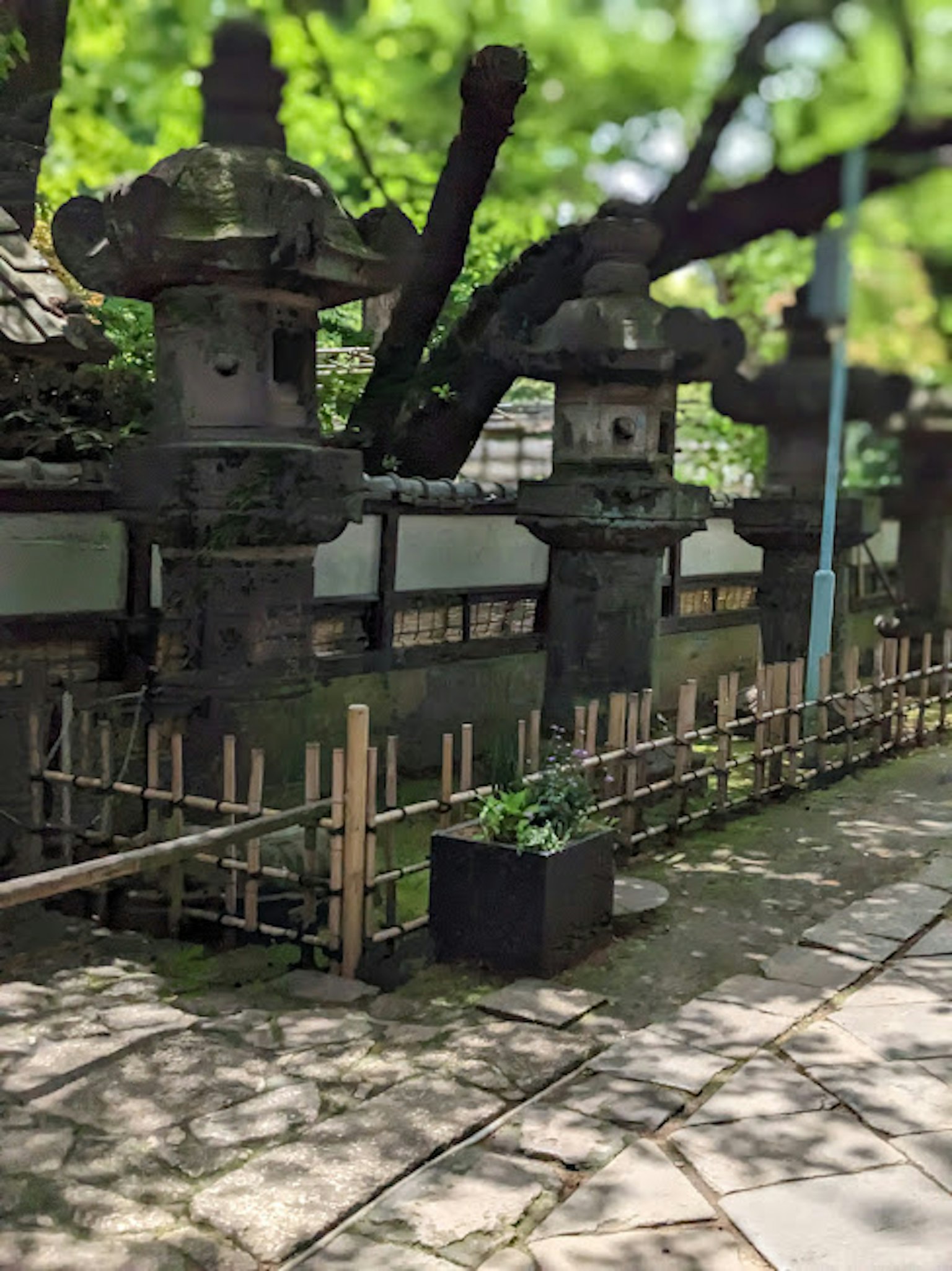 Scène de jardin japonais avec des lanternes en pierre et une clôture en bambou