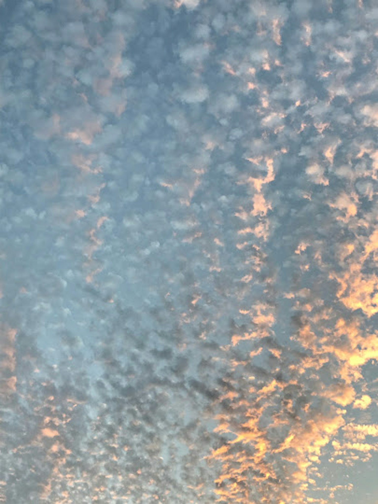 Cielo pieno di nuvole e tonalità di tramonto
