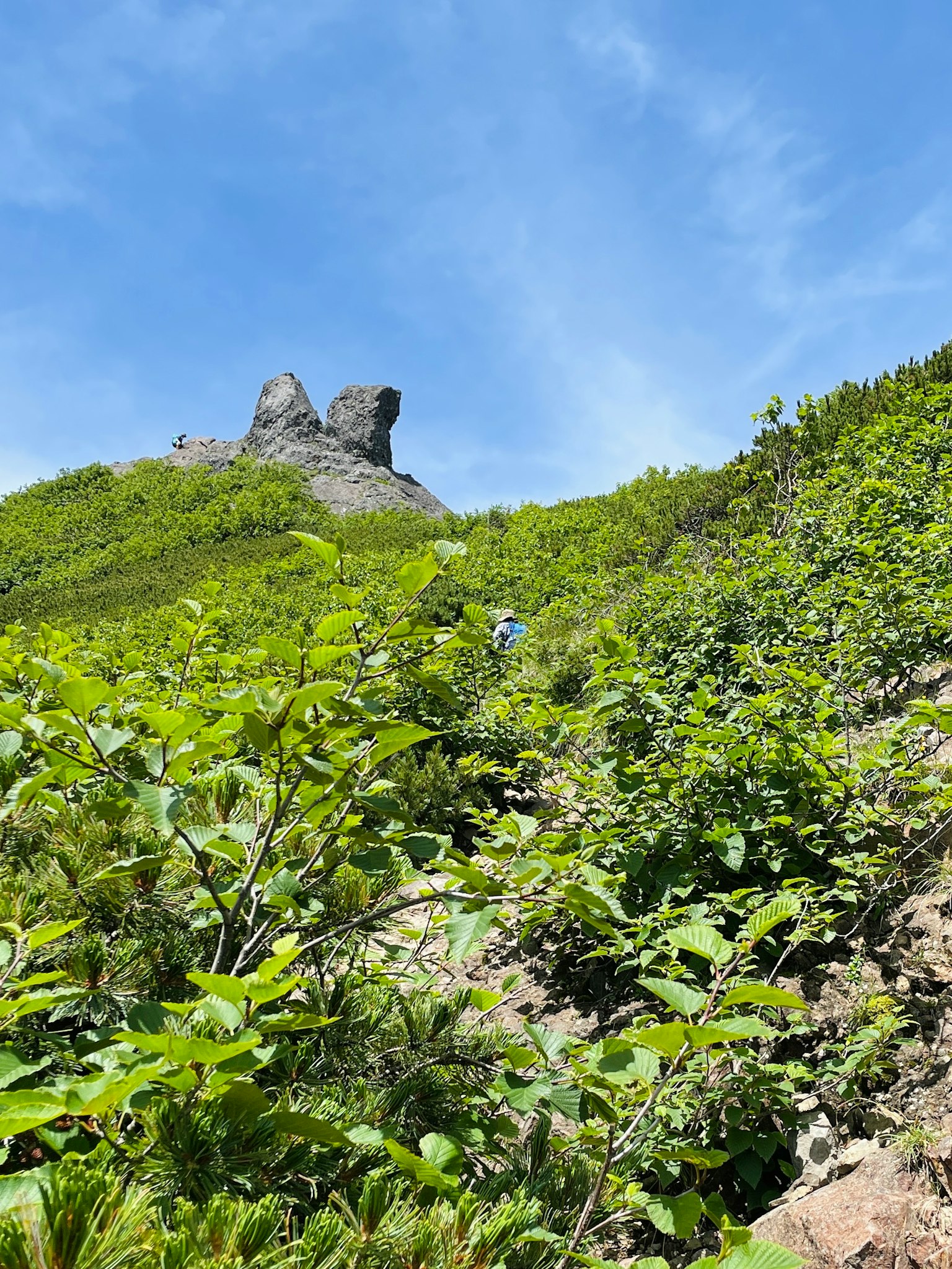 Mountain landscape with lush greenery and blue sky featuring unique rock formations