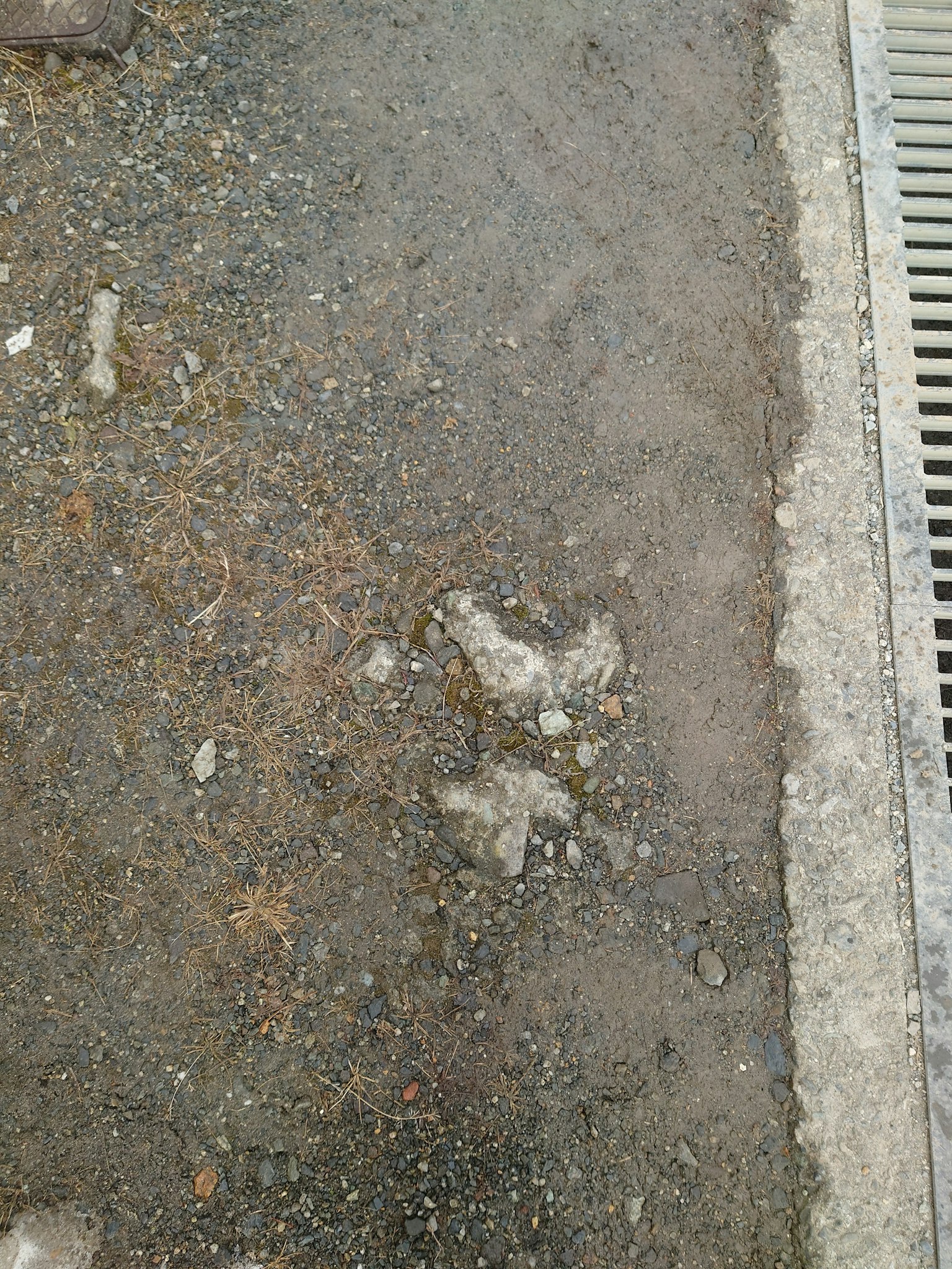 Superficie di ghiaia lungo un sentiero pavimentato con pietre sparse