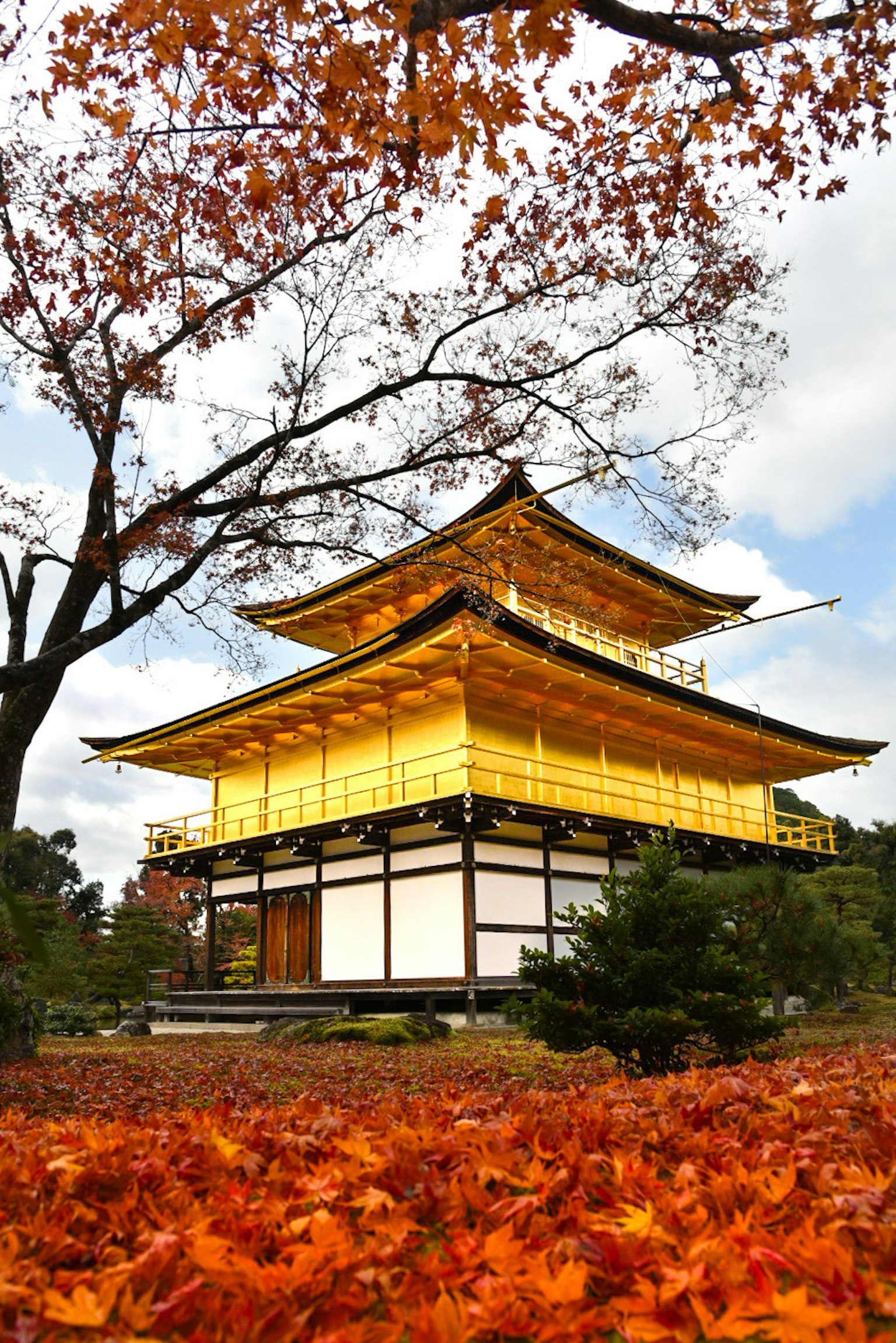 Kinkaku-ji in autumn featuring a golden pavilion and colorful foliage