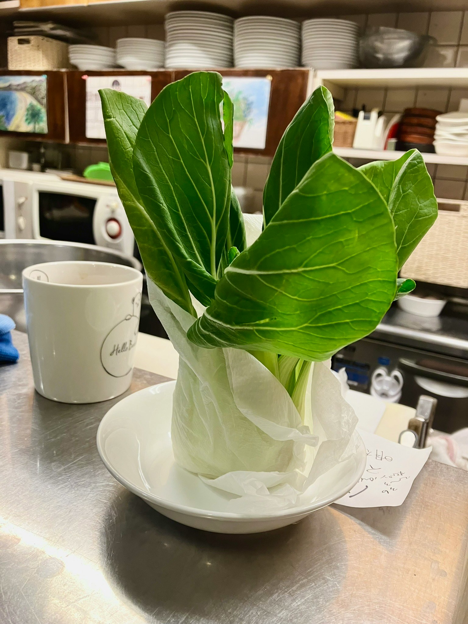 Bok choy segar di piring putih di lingkungan dapur