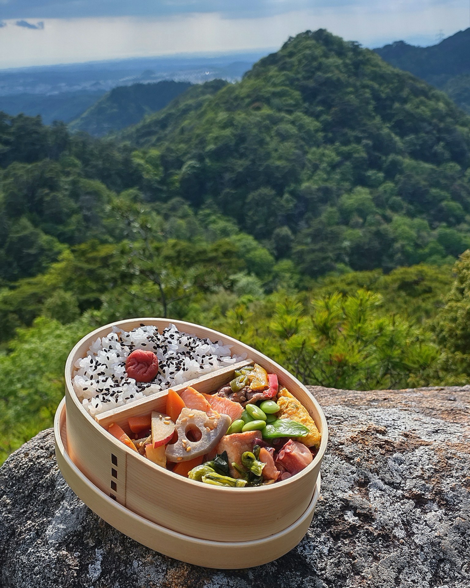山の景色を背景にしたお弁当の写真色とりどりの具材が詰まった二段の弁当箱