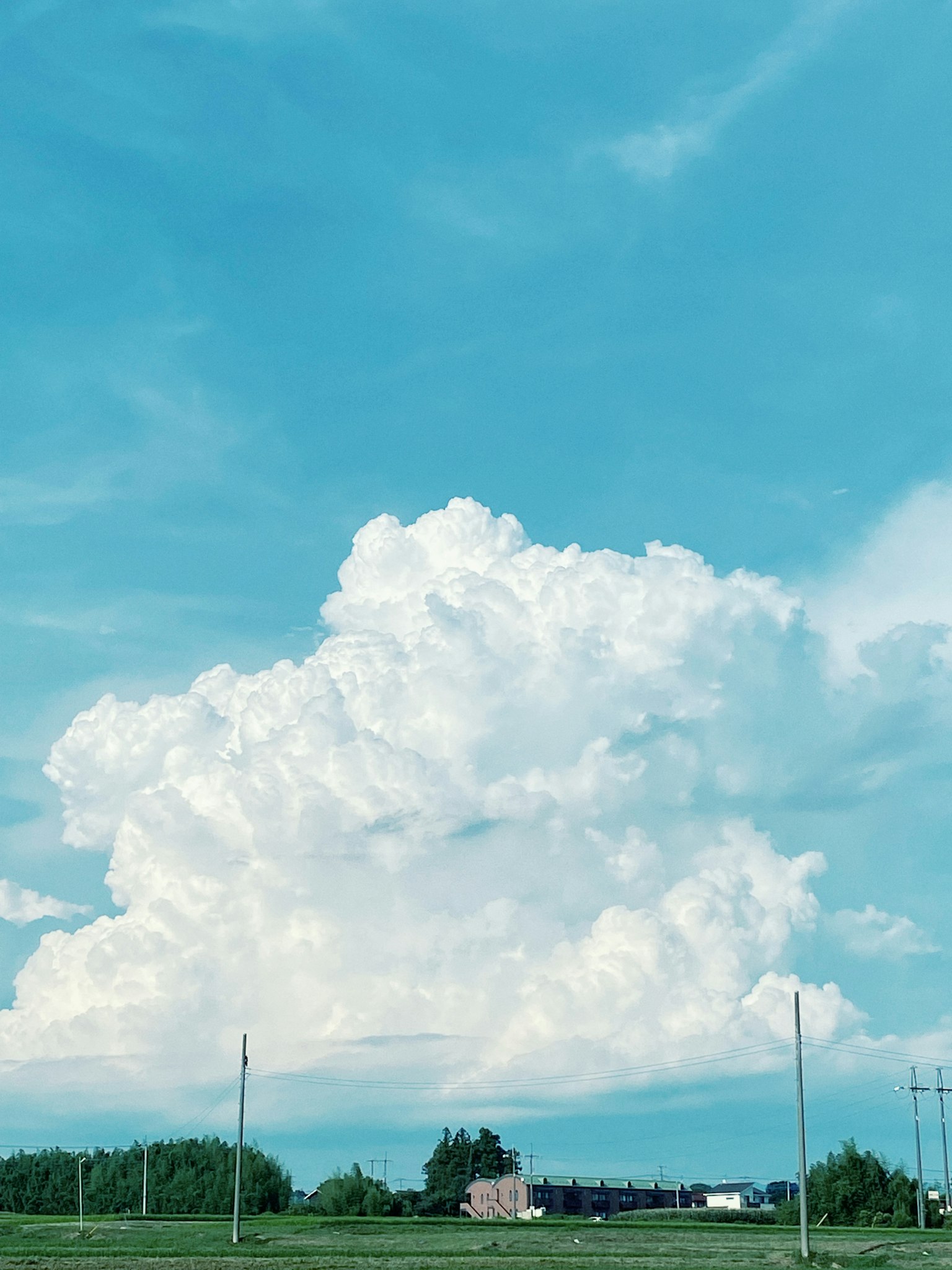 青空に浮かぶ白い雲と緑の草地