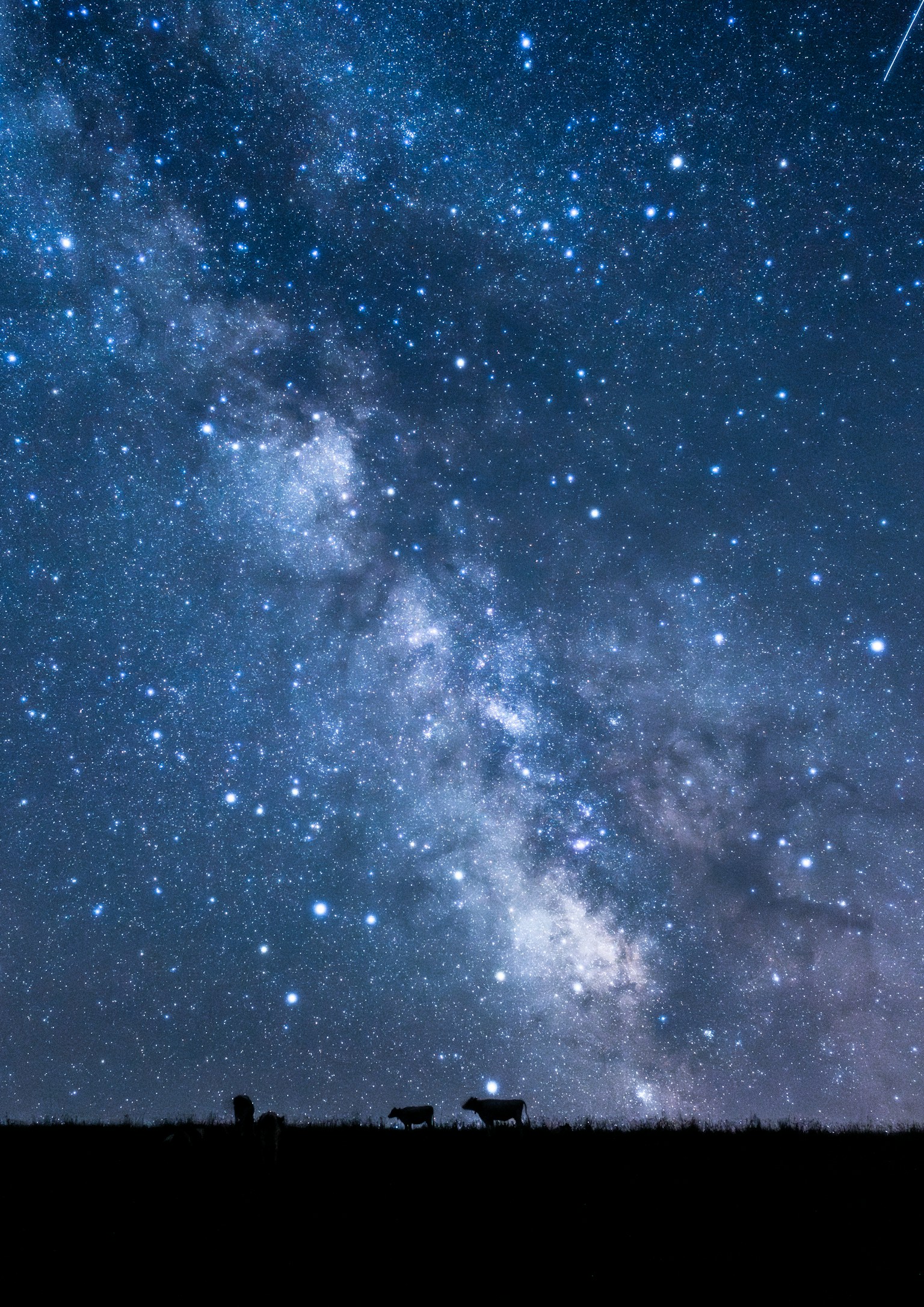 photo-9JZprjryoZQpH7SwKLOQ-image