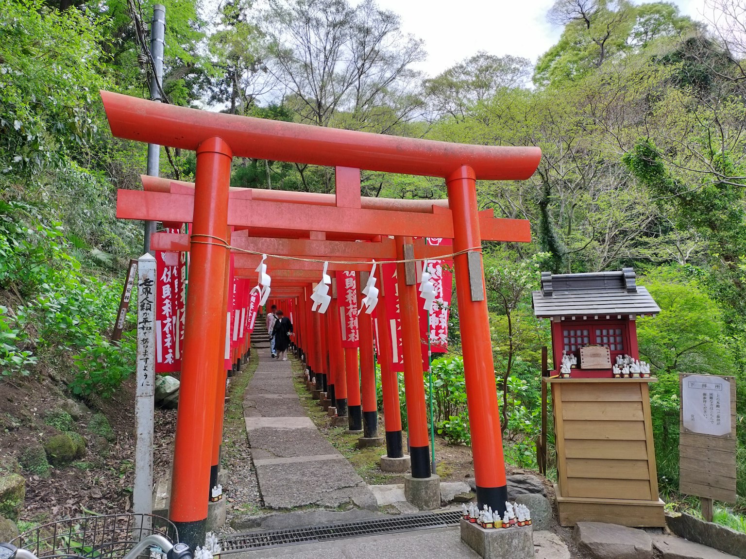 Con đường có cổng torii đỏ được bao quanh bởi cây cối tươi tốt