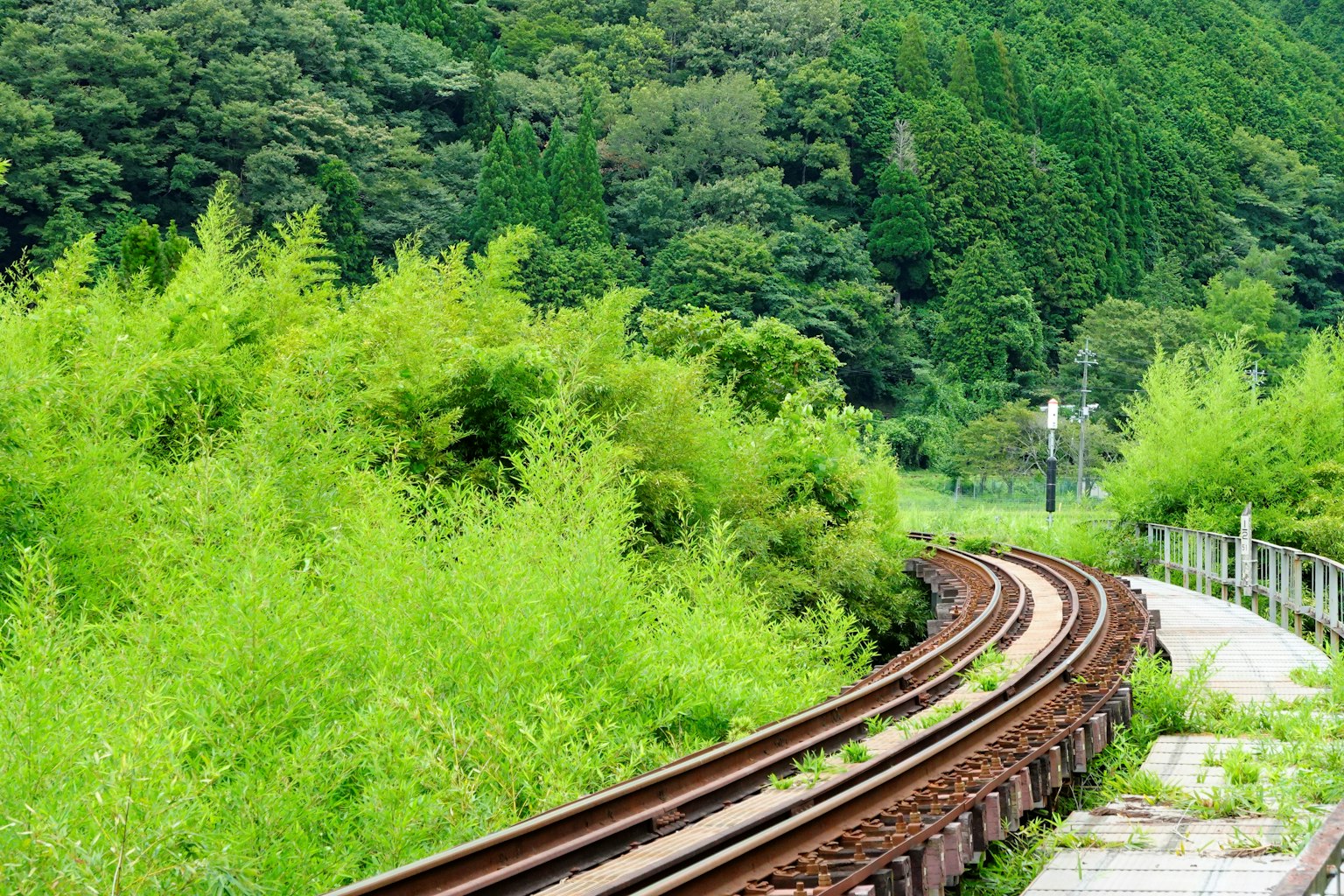 Kurven von Eisenbahnschienen durch eine grüne Landschaft