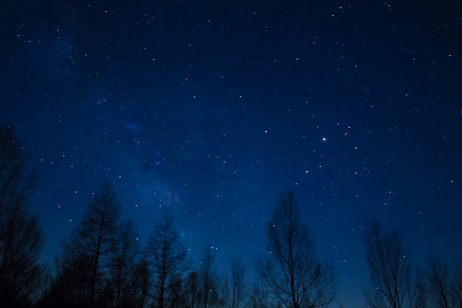繁星點點的夜空和樹木輪廓