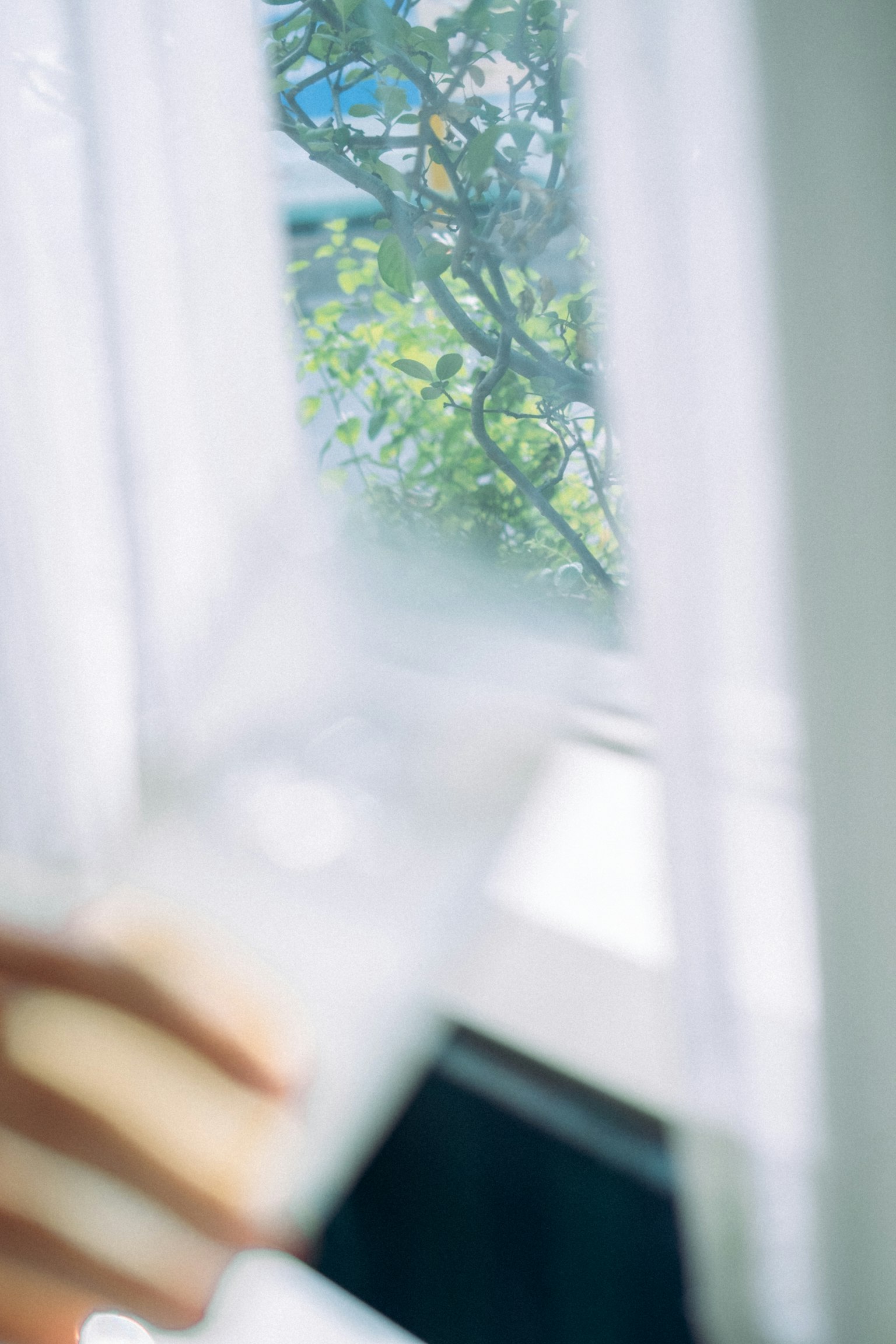 Ein weicher Vorhang mit Blick auf grüne Bäume außerhalb des Fensters