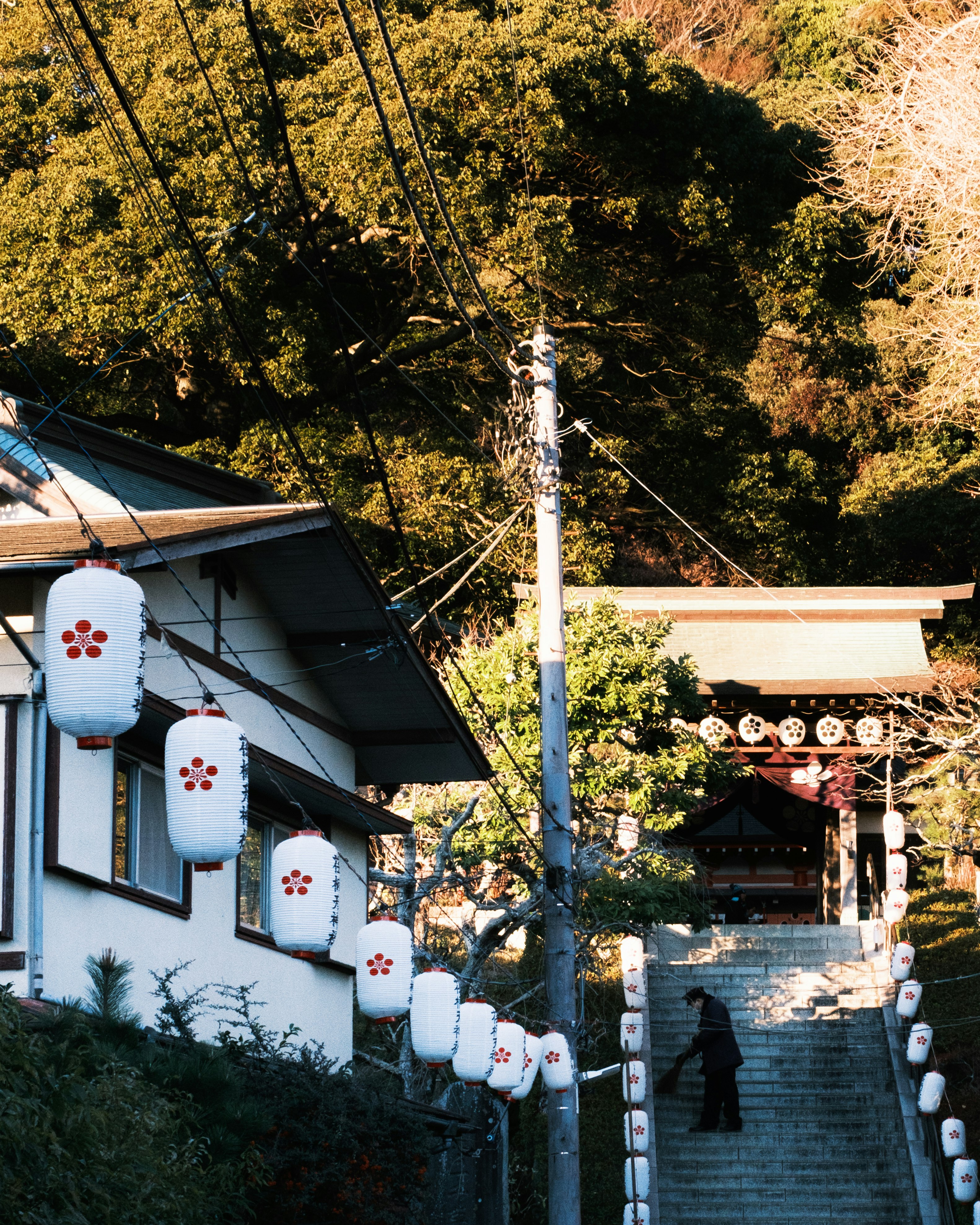 石段の参道に並ぶ提灯と秋の木々のある神社の景色