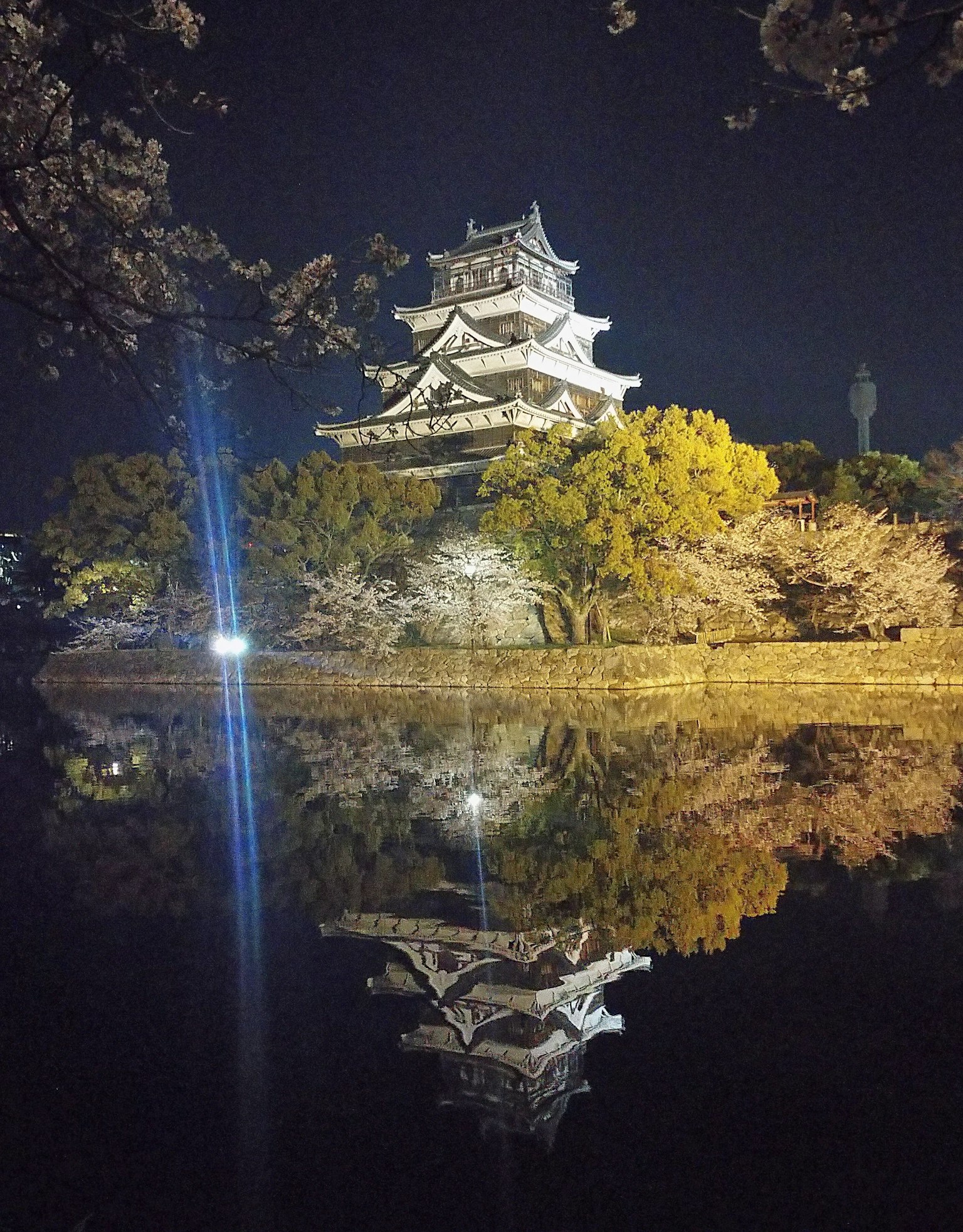 夜間櫻花與城堡的美麗倒影